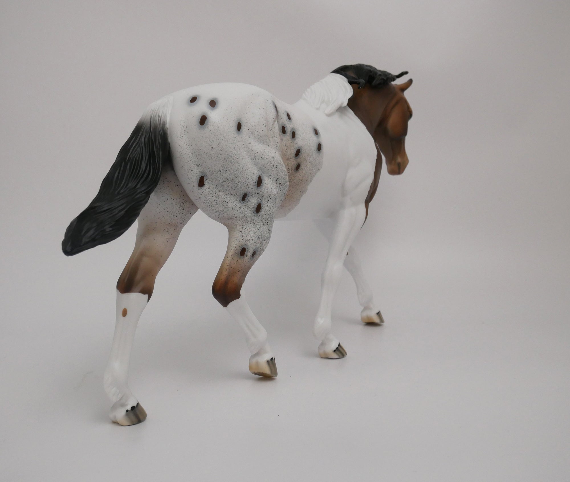 SPARKLER-LE-10 CUSTOM BUCKSKIN PAINTALOOSA IRISH DRAFTER MODEL HORSE 6/30/20