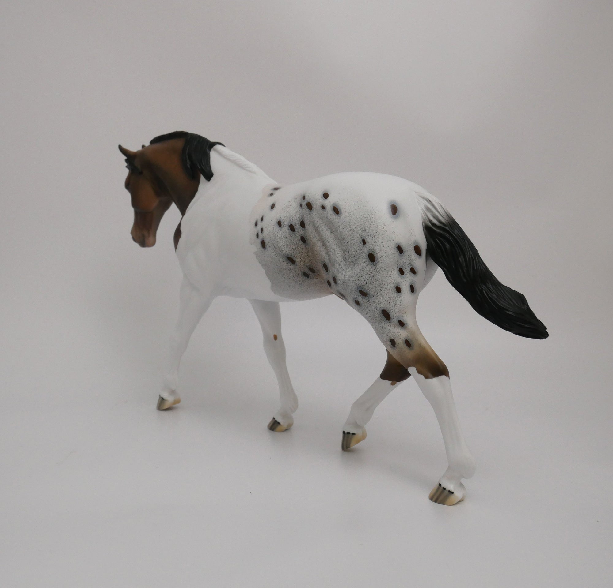 SPARKLER-LE-10 CUSTOM BUCKSKIN PAINTALOOSA IRISH DRAFTER MODEL HORSE 6/30/20