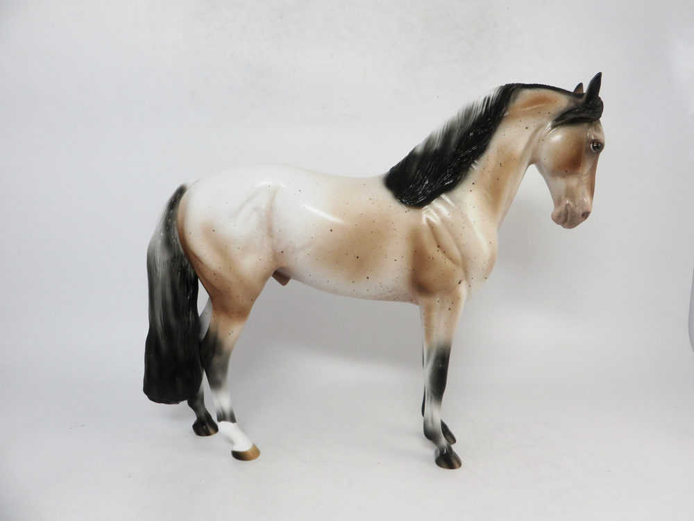 KICK-OFF- LE-7 VARNISH APPALOOSA ANDALUSIAN BY AUDREY DIXON SB19