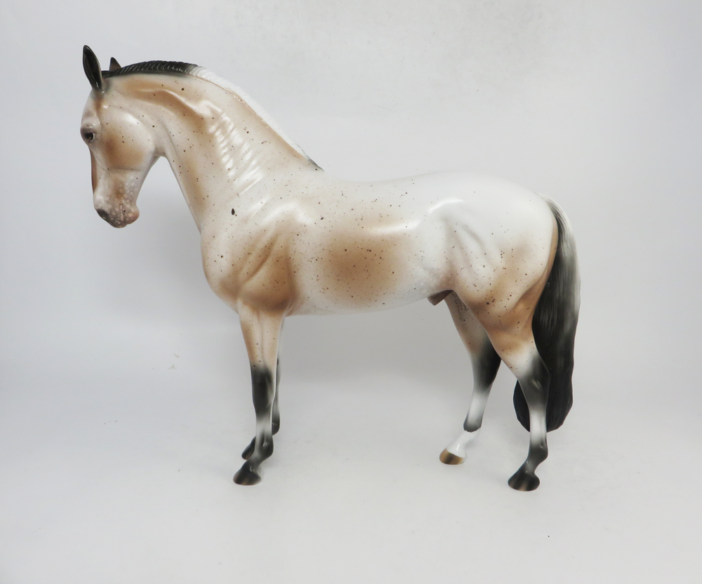 KICK-OFF- LE-7 VARNISH APPALOOSA ANDALUSIAN BY AUDREY DIXON SB19