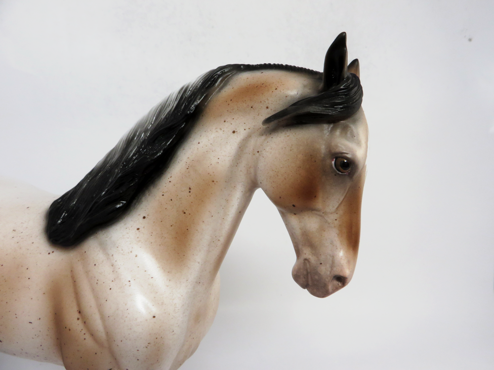 KICK-OFF- LE-7 VARNISH APPALOOSA ANDALUSIAN BY AUDREY DIXON SB19