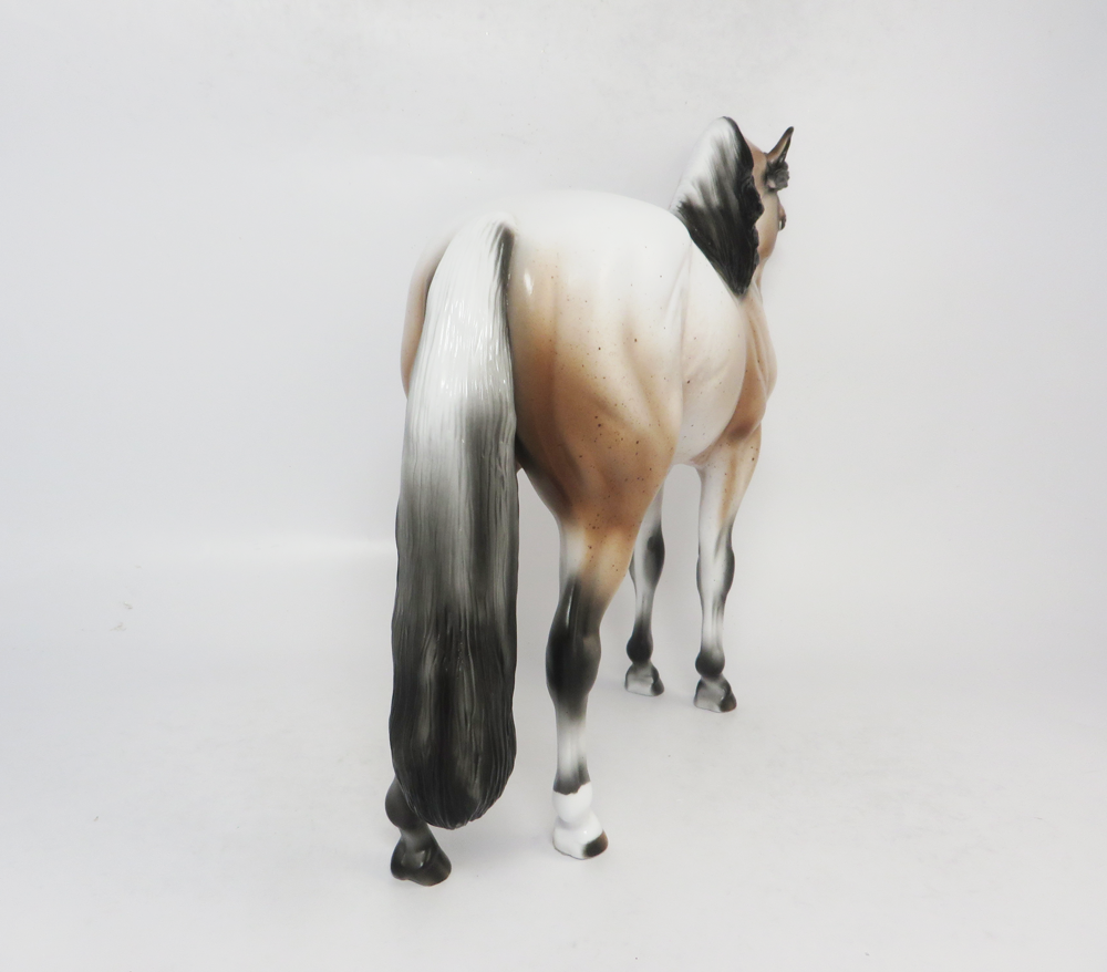 KICK-OFF- LE-7 VARNISH APPALOOSA ANDALUSIAN BY AUDREY DIXON SB19