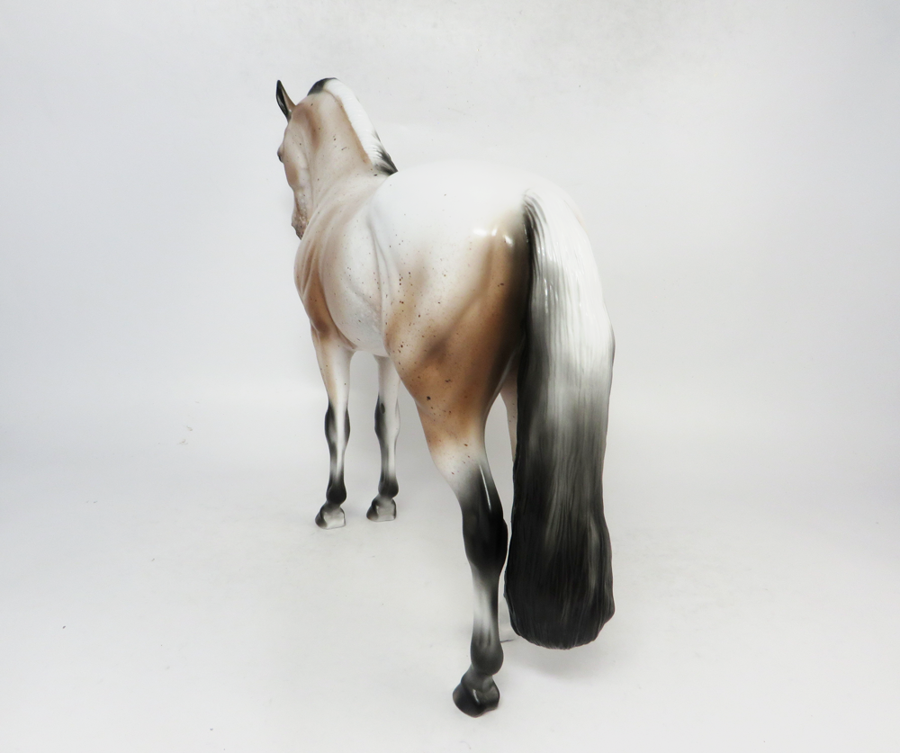 KICK-OFF- LE-7 VARNISH APPALOOSA ANDALUSIAN BY AUDREY DIXON SB19