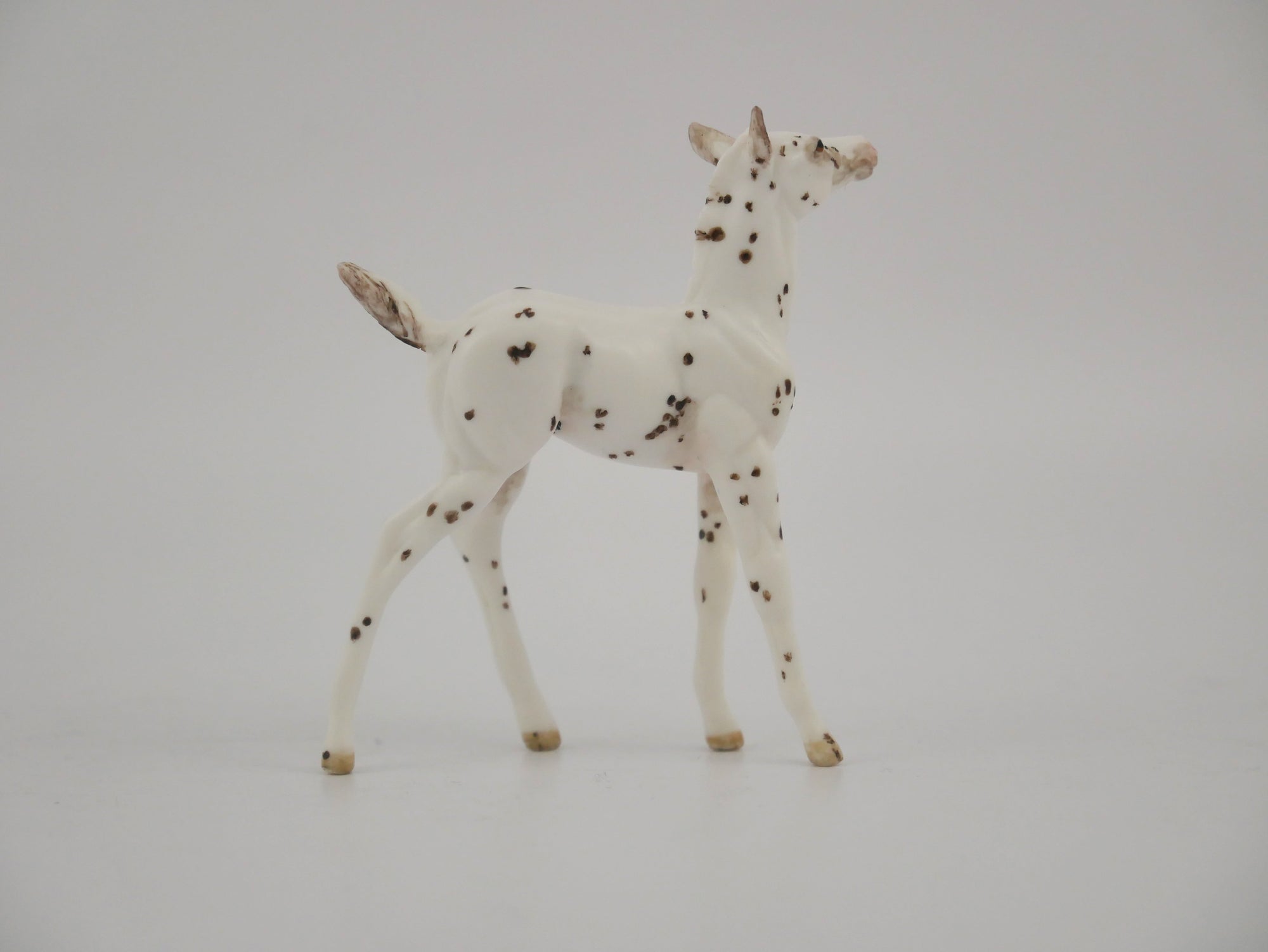 SPECKSOME-OOAK CHESTNUT FEW SPOT APPALOOSA FOAL BY ANDREA