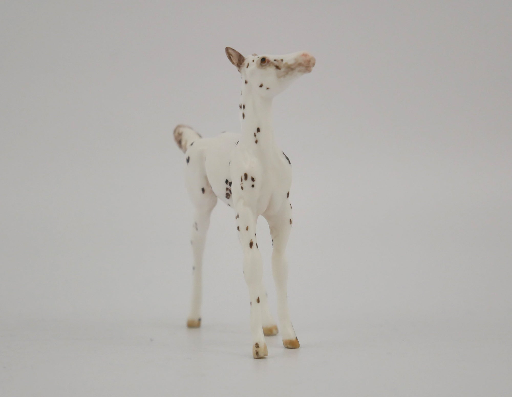 SPECKSOME-OOAK CHESTNUT FEW SPOT APPALOOSA FOAL BY ANDREA