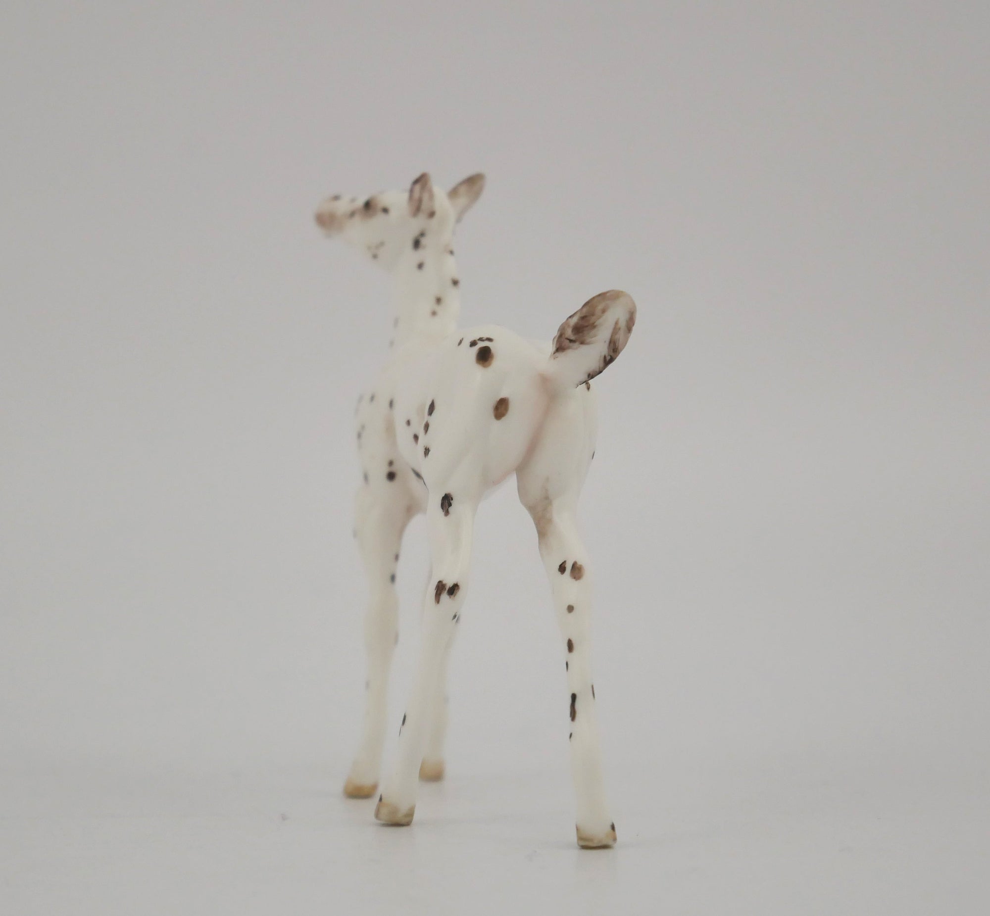 SPECKSOME-OOAK CHESTNUT FEW SPOT APPALOOSA FOAL BY ANDREA