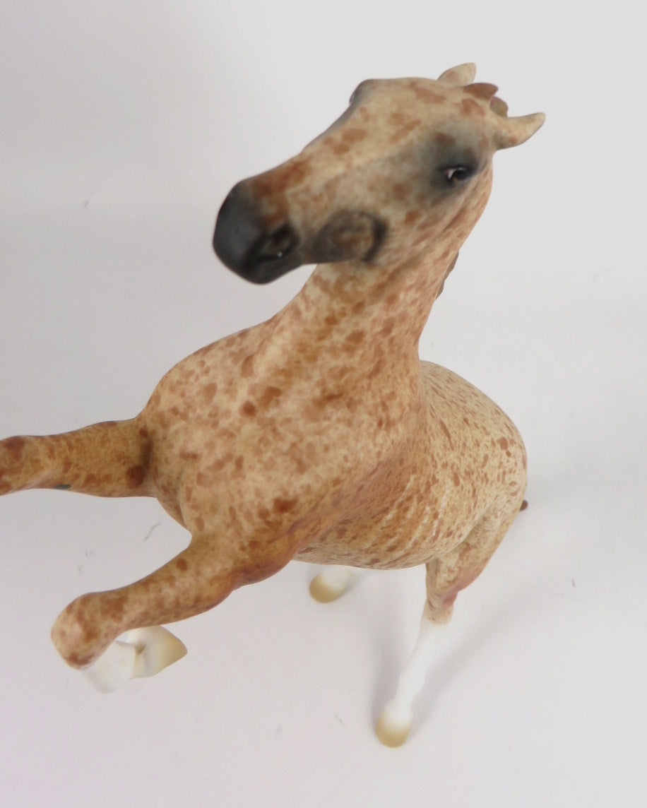 SPICE-OOAK RED ROAN REARING PEBBLE MODEL HORSE BY AUDREY DIXON  WHS 19