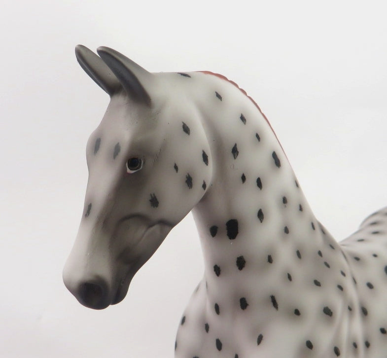 SPICY- OOAK CHESTNUT LEOPARD APPY SADDLEBRED PEBBLE  BY AL KATT WHS19