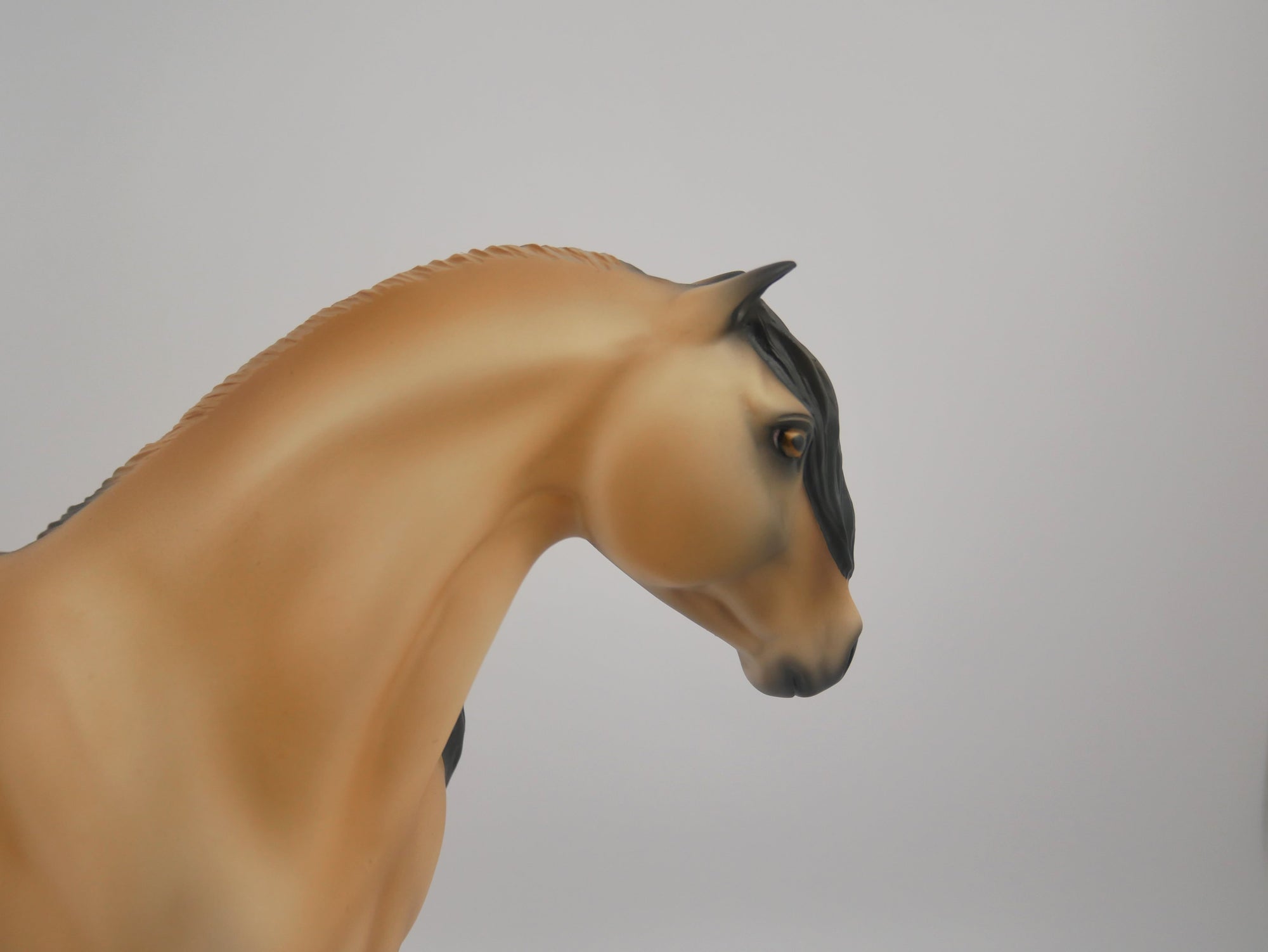 Spirit of Art-OOAK Buckskin Mustang by Audrey Dixon