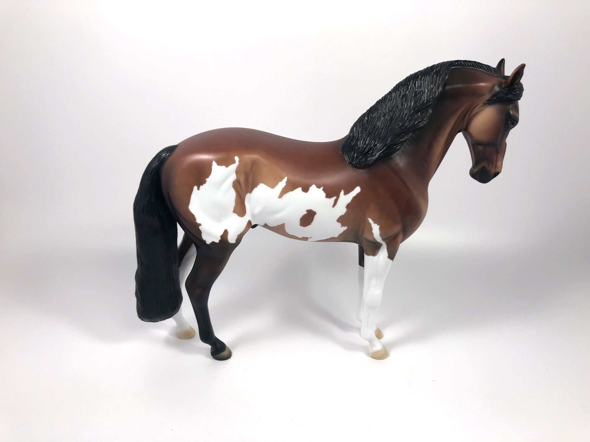 SPLITZ -- LE-5 BAY PINTO CUSTOM ANDALUSIAN BY DAWN QUICK 4/26/19