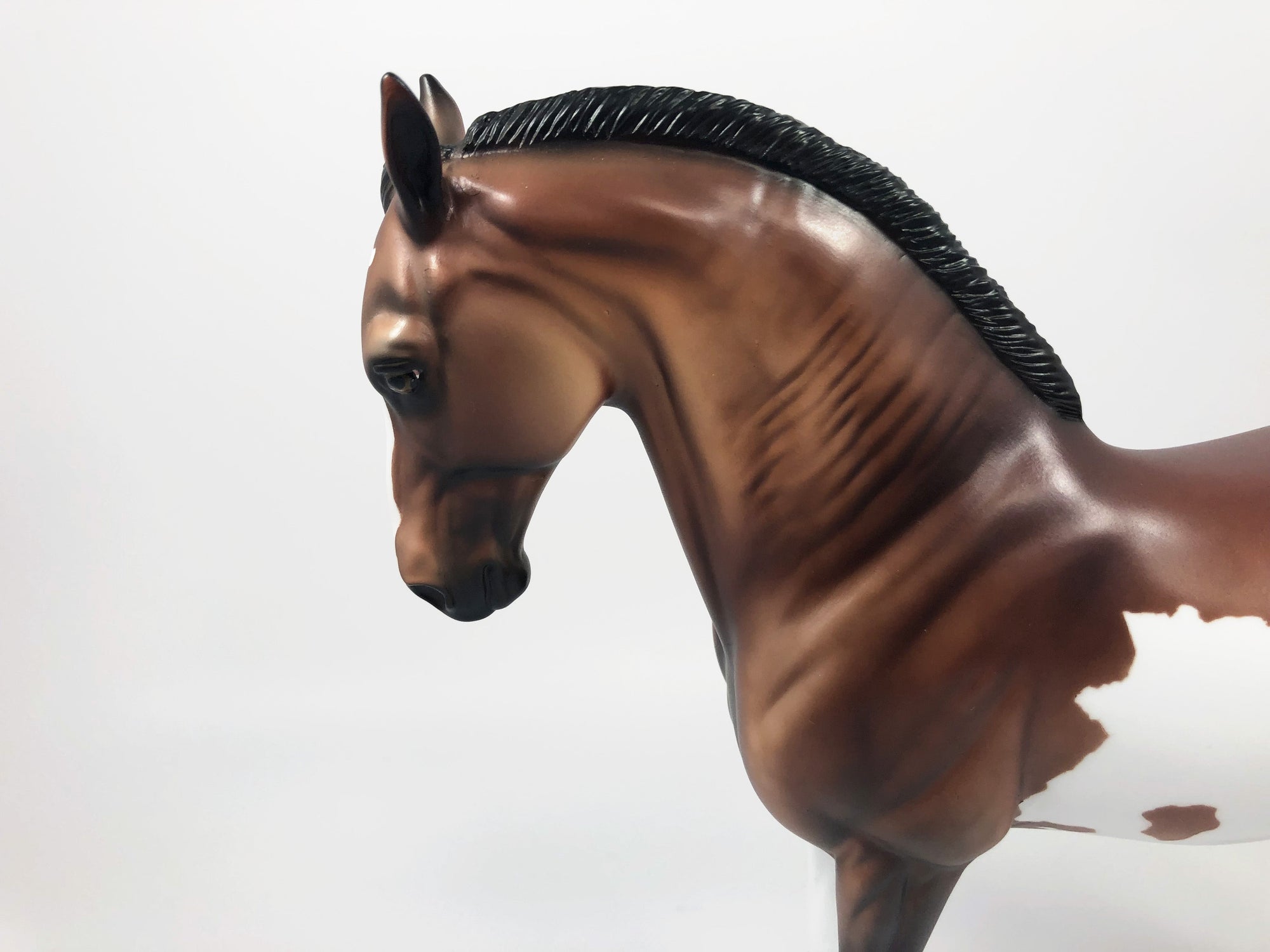 SPLITZ -- LE-5 BAY PINTO CUSTOM ANDALUSIAN BY DAWN QUICK 4/26/19