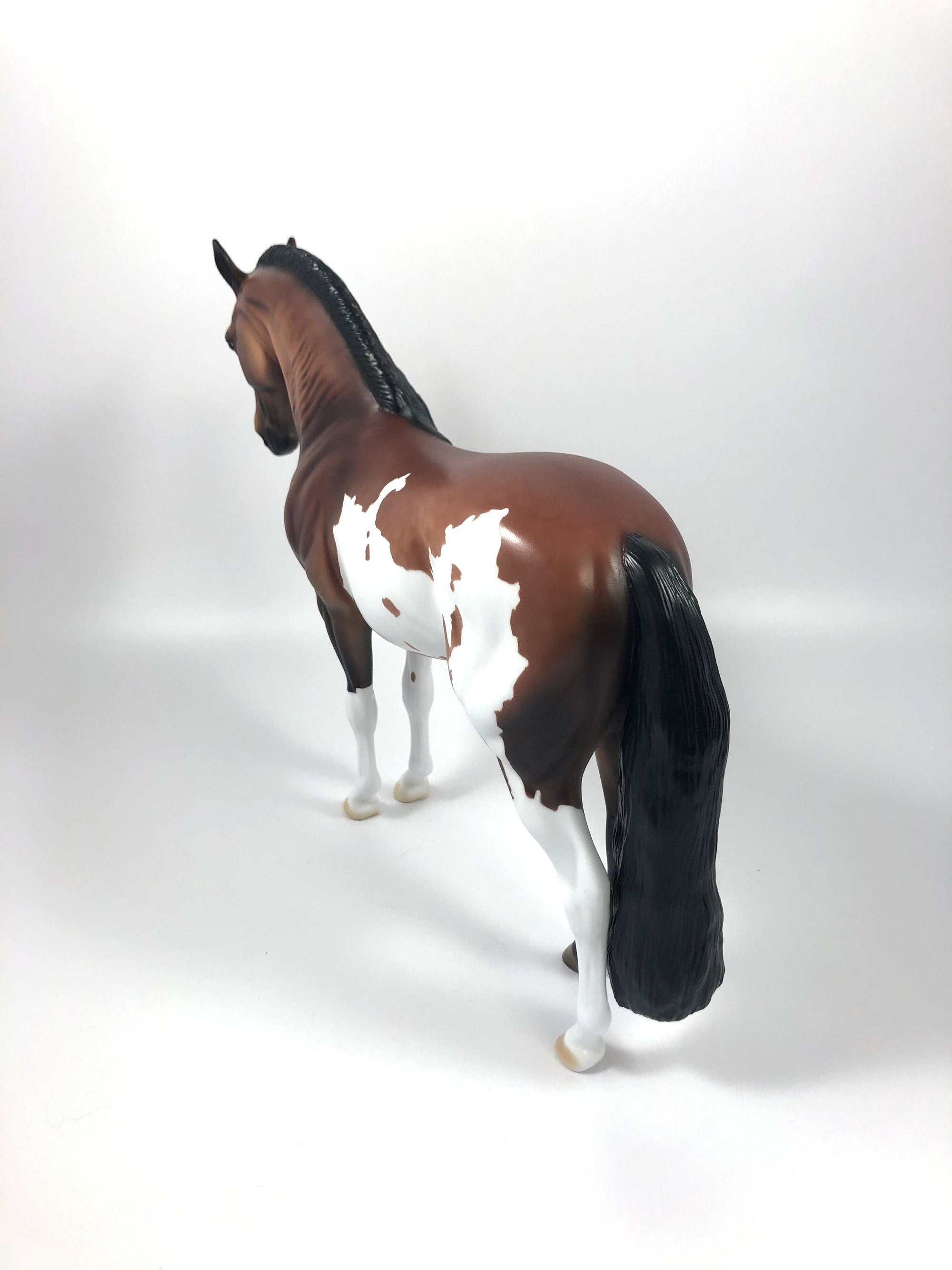 SPLITZ -- LE-5 BAY PINTO CUSTOM ANDALUSIAN BY DAWN QUICK 4/26/19