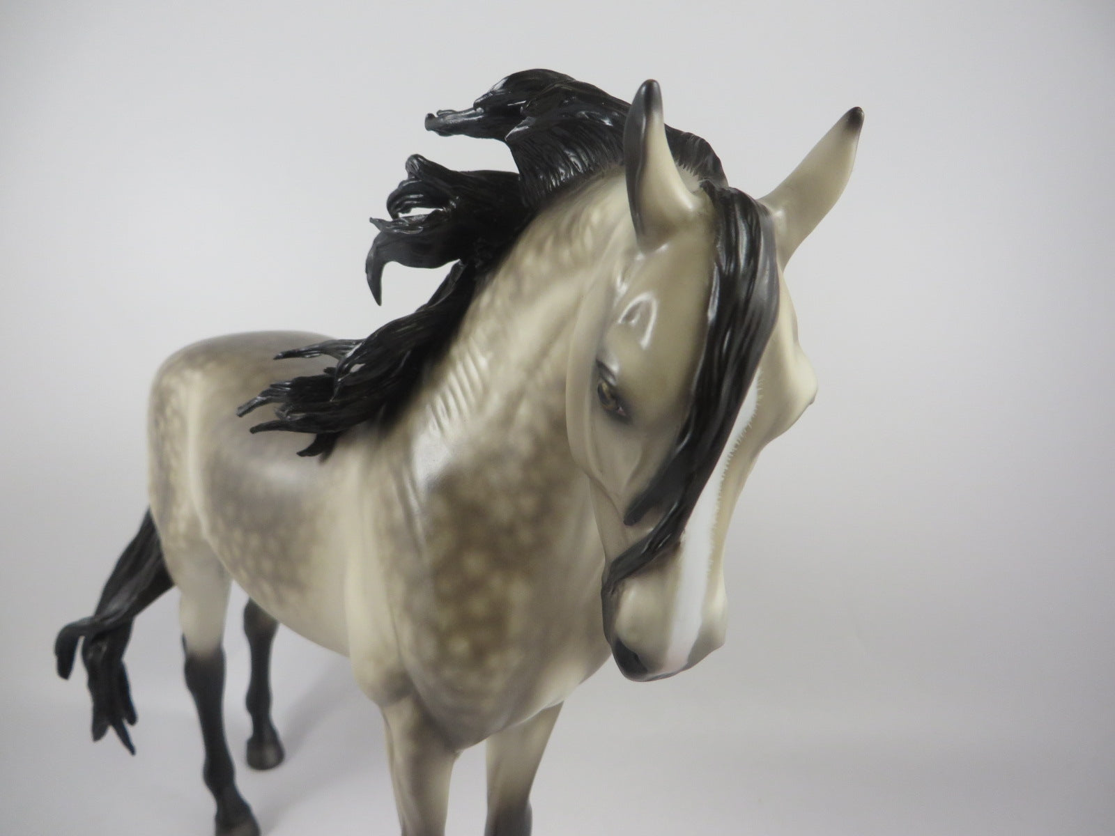 SPOOKTACULAR-OOAK STAR DAPPLE PALE BUCKSKIN ANDALSUIAN MM 19