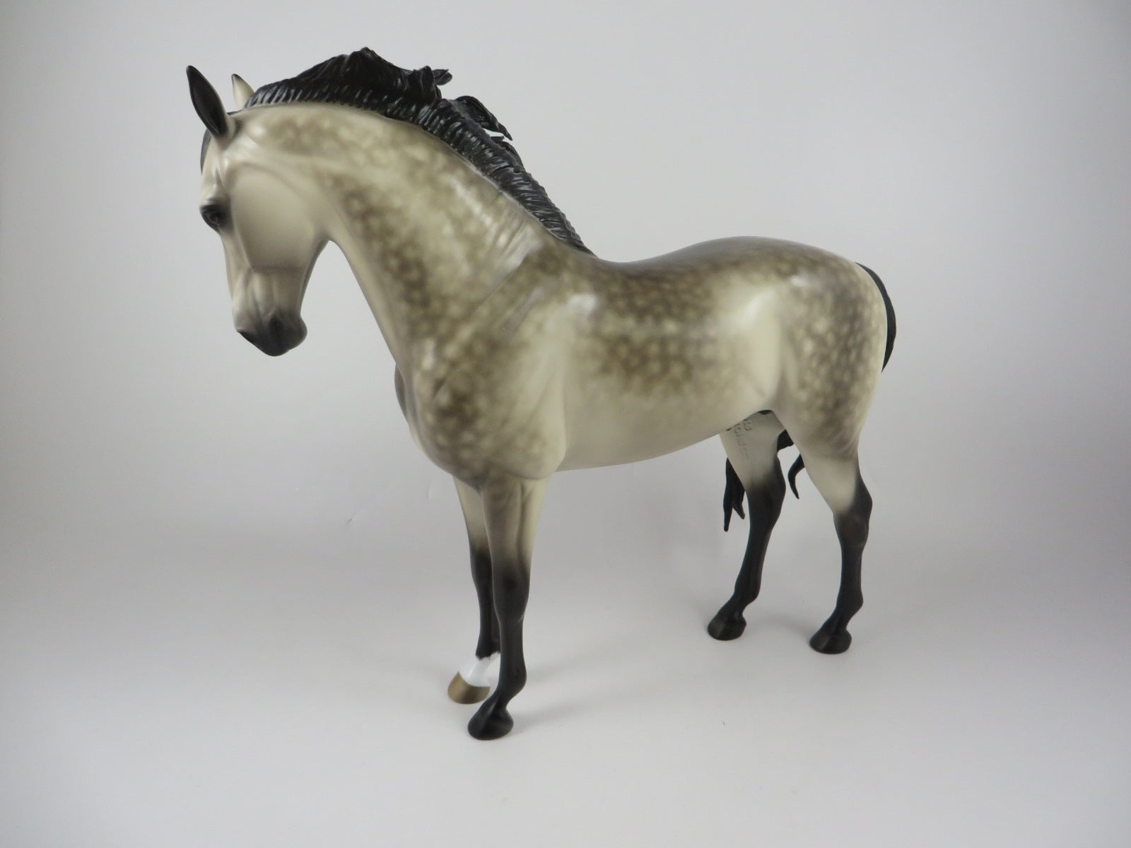SPOOKTACULAR-OOAK STAR DAPPLE PALE BUCKSKIN ANDALSUIAN MM 19