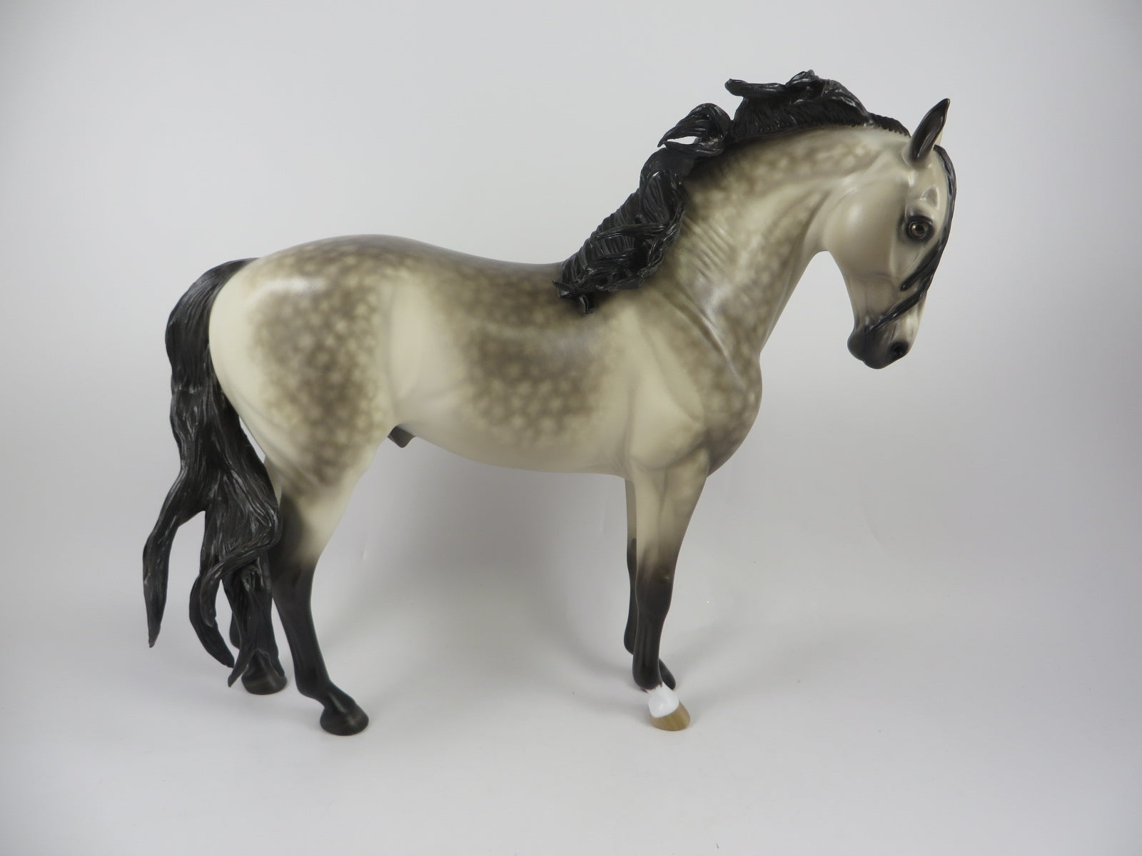 SPOOKTACULAR-OOAK STAR DAPPLE PALE BUCKSKIN ANDALSUIAN MM 19