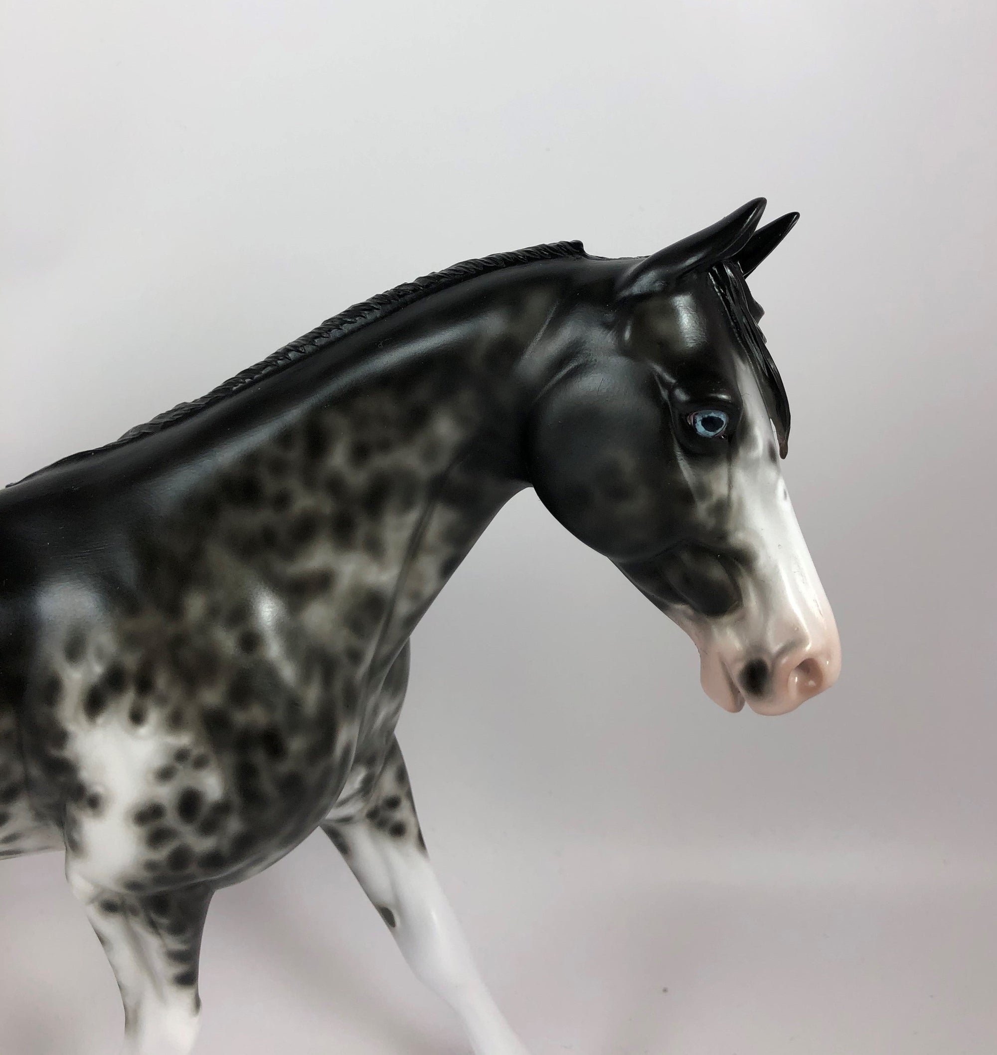 SPOOKY-OOAK BLACK SABINO PALOUSE MODEL HORSE BY SHERYL LESIURE LHS 19