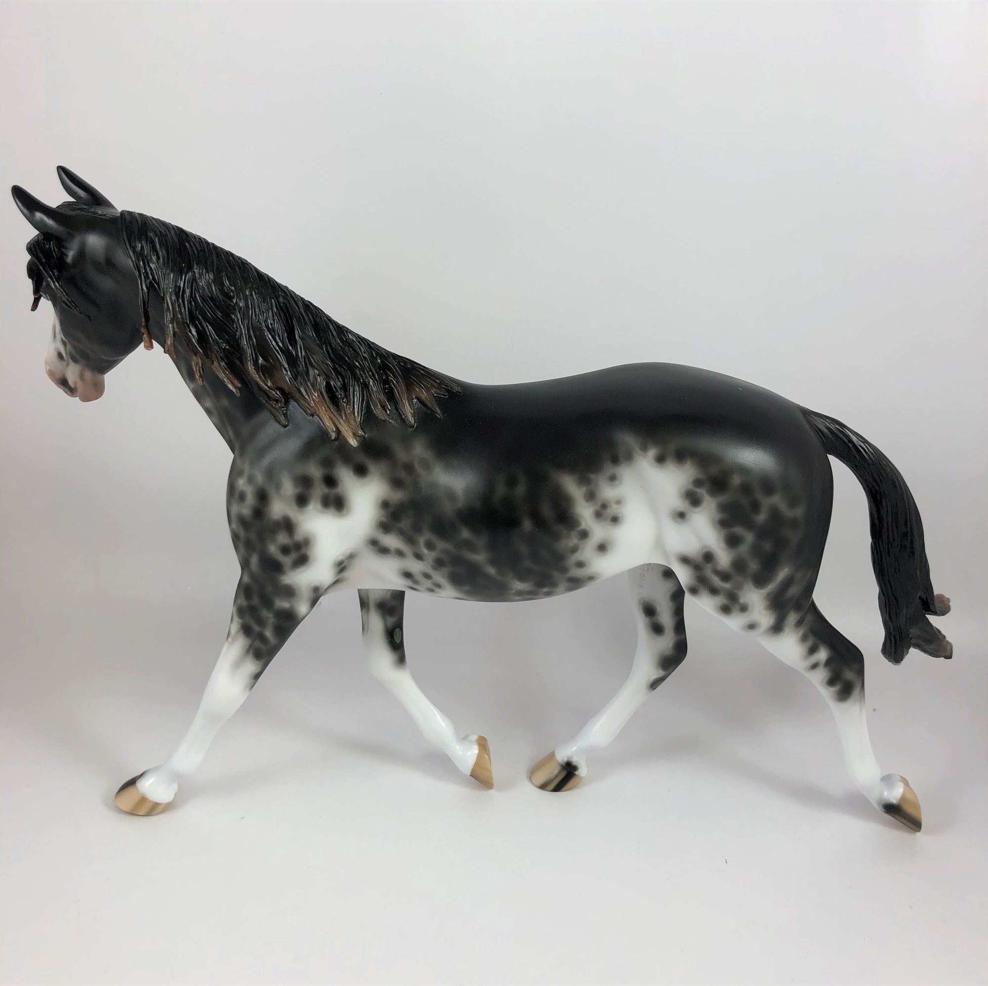 SPOOKY-OOAK BLACK SABINO PALOUSE MODEL HORSE BY SHERYL LESIURE LHS 19