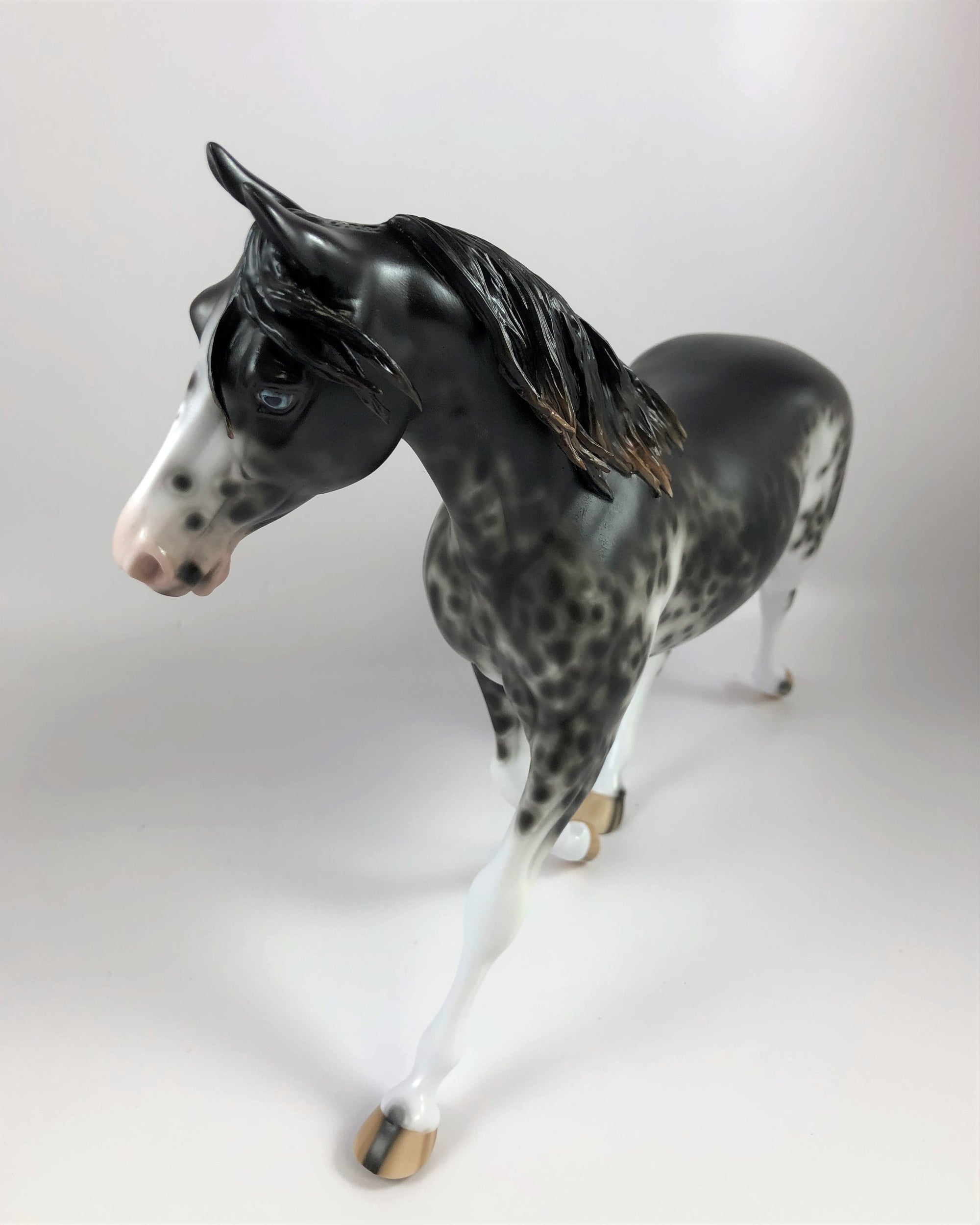 SPOOKY-OOAK BLACK SABINO PALOUSE MODEL HORSE BY SHERYL LESIURE LHS 19