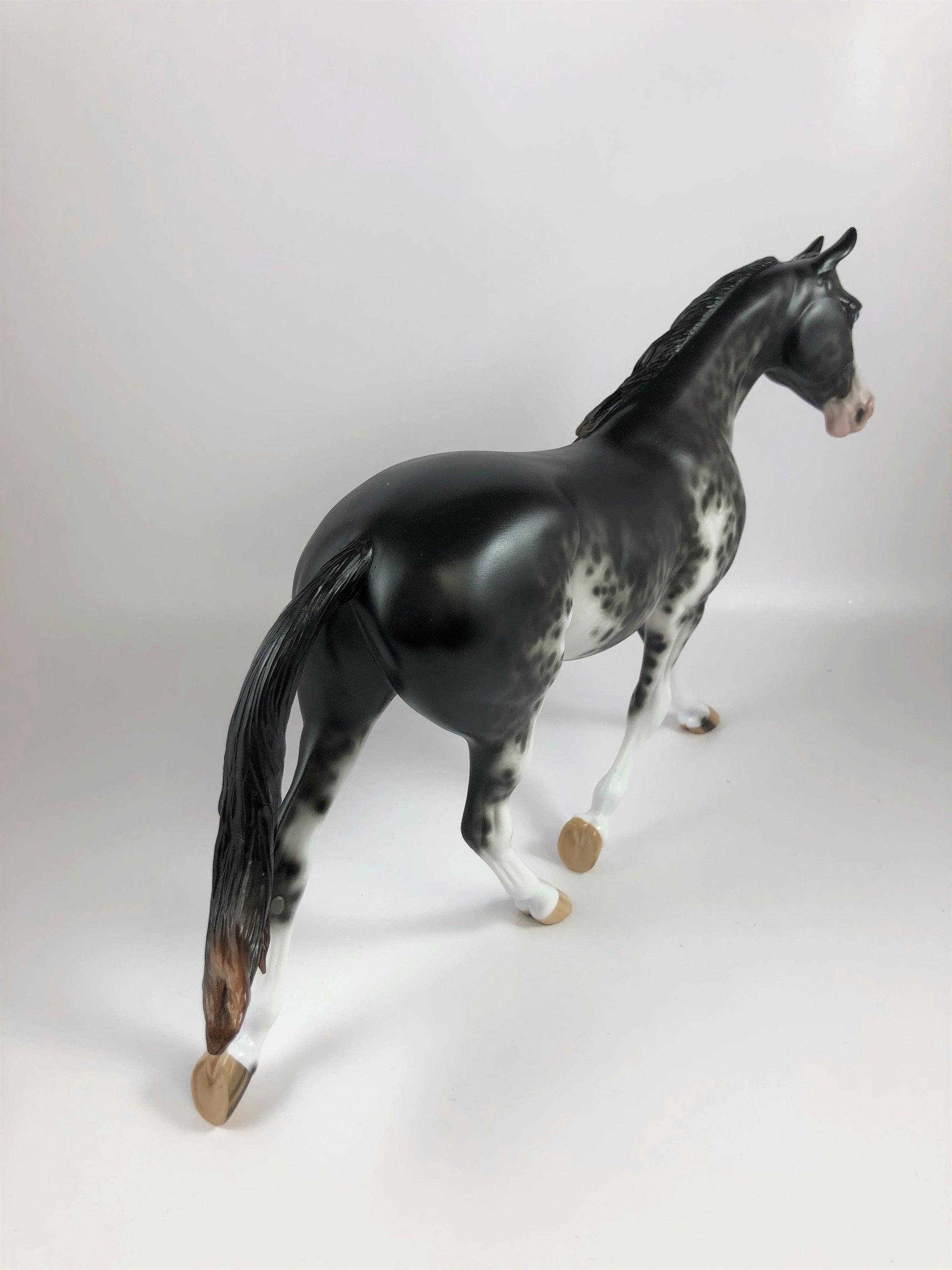 SPOOKY-OOAK BLACK SABINO PALOUSE MODEL HORSE BY SHERYL LESIURE LHS 19