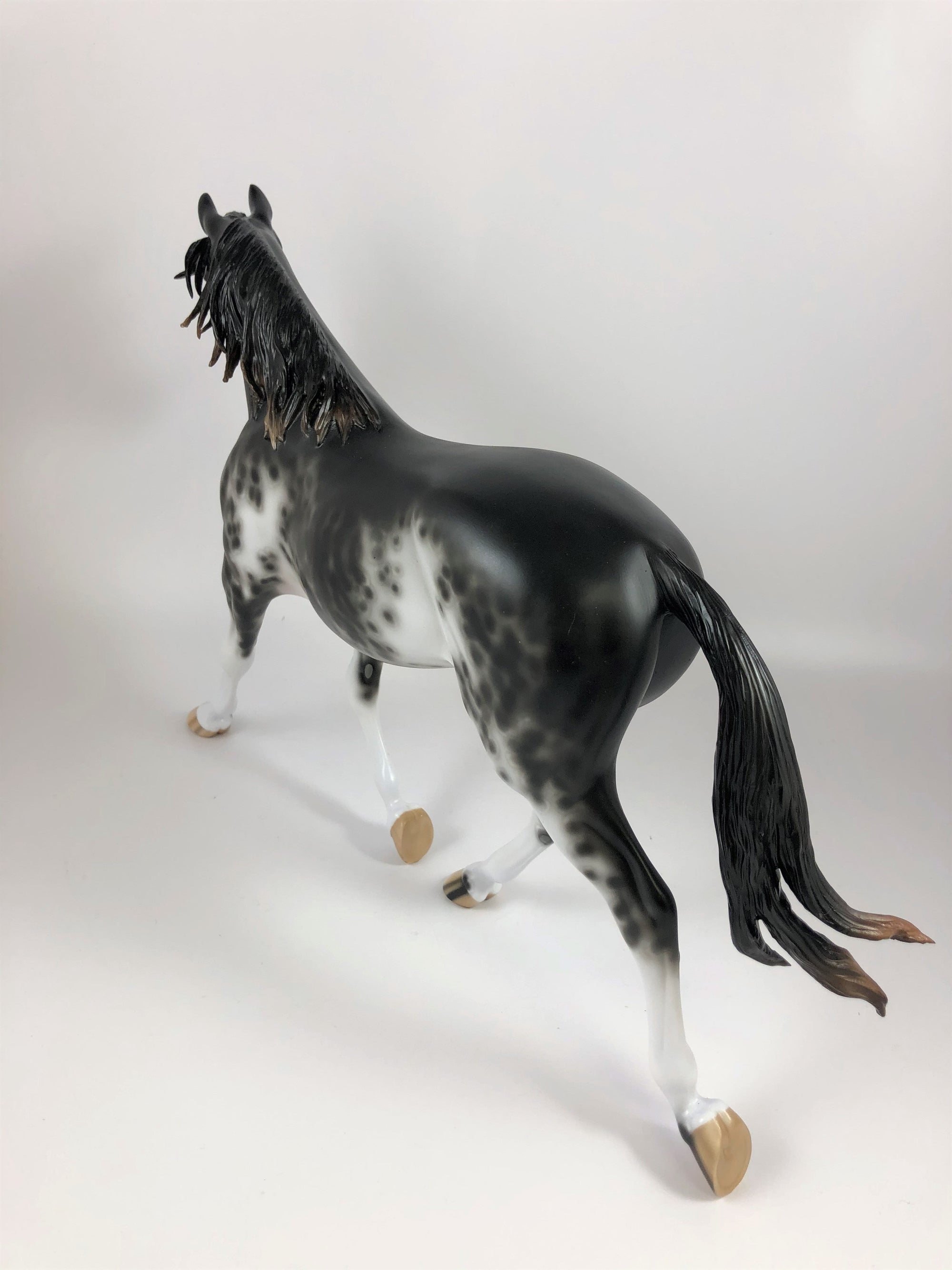 SPOOKY-OOAK BLACK SABINO PALOUSE MODEL HORSE BY SHERYL LESIURE LHS 19