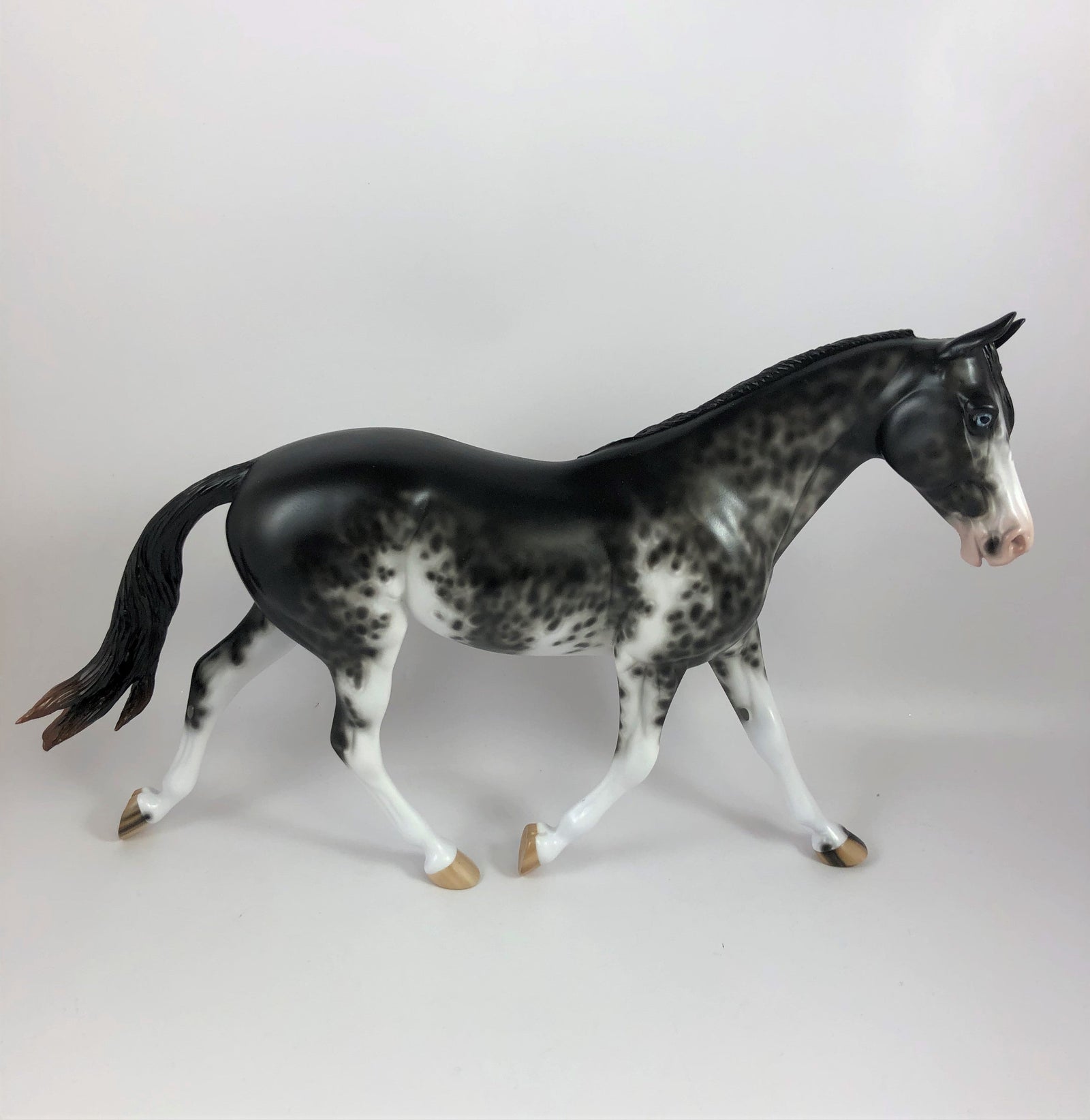 SPOOKY-OOAK BLACK SABINO PALOUSE MODEL HORSE BY SHERYL LESIURE LHS 19