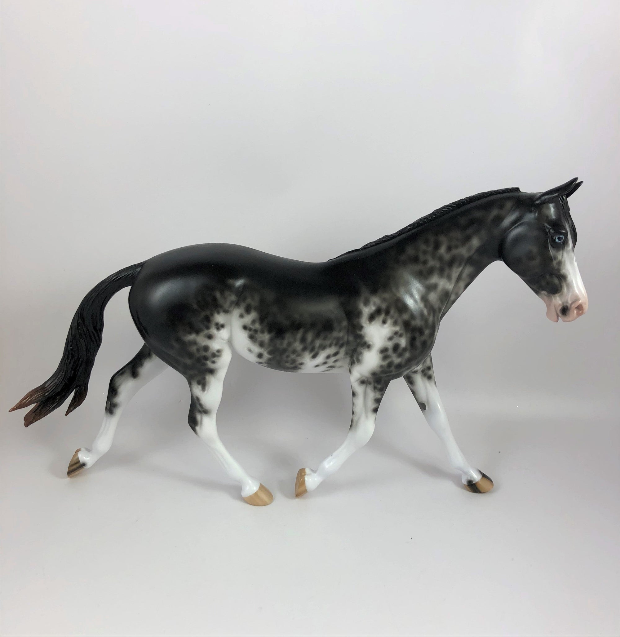 SPOOKY-OOAK BLACK SABINO PALOUSE MODEL HORSE BY SHERYL LESIURE LHS 19