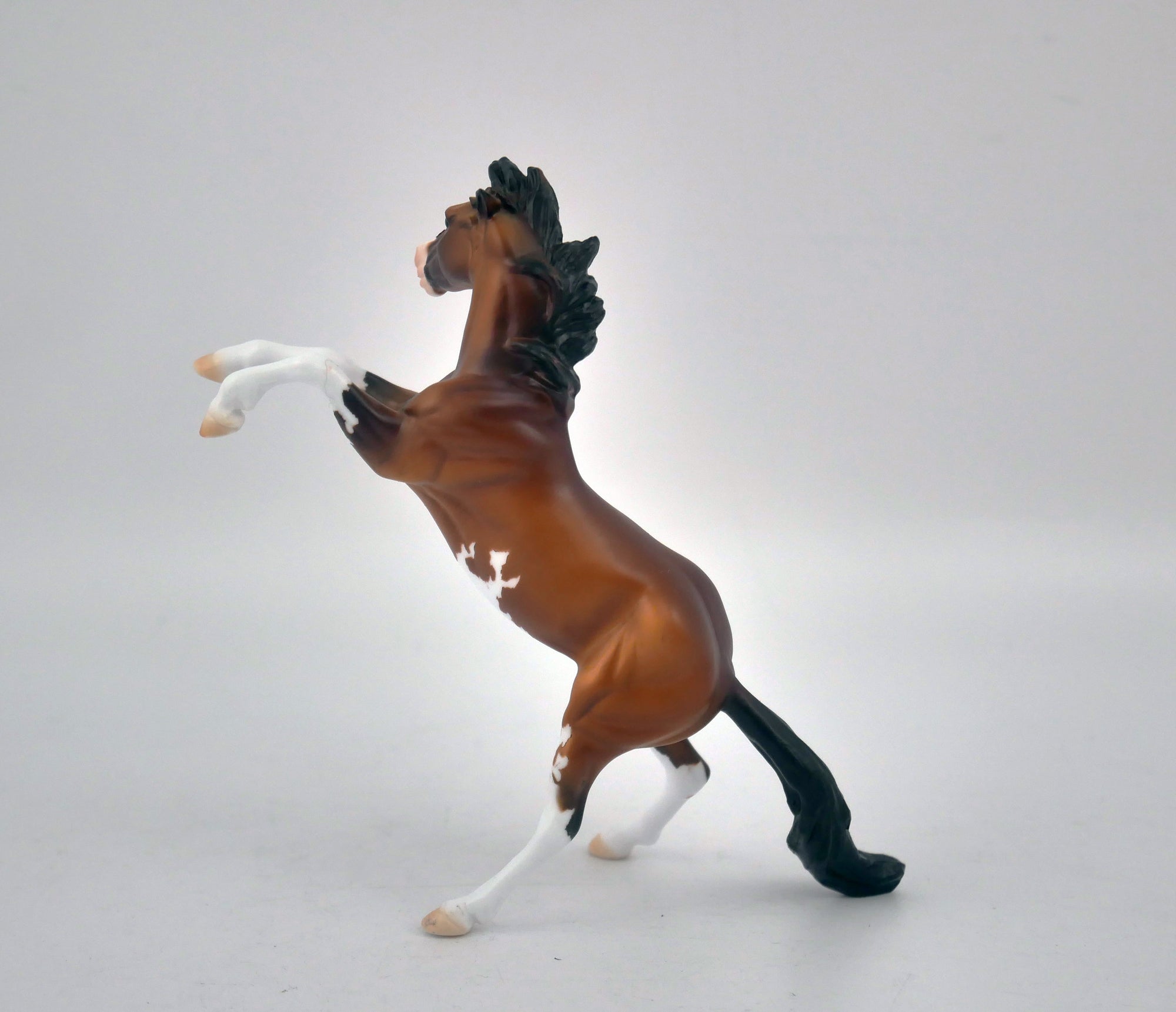 EQUILOCITY 2020 GRAB BAGS