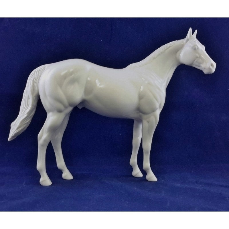 RAINBOW ROAD-LE44 PRE-ORDER RAINBOW ZEBRA ISH PYO 2018 WINNER!