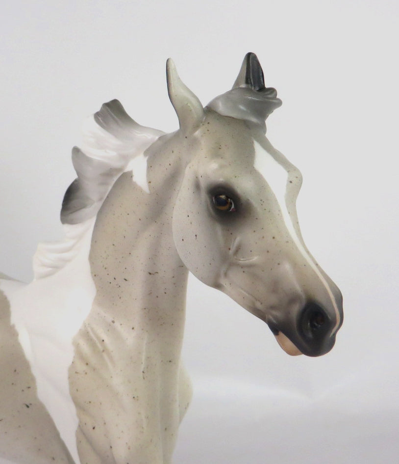 STAR-OOAK FLEA BIT GREY PINTO YEARLING MODEL HORSE BY AUDREY DIXON WHS19