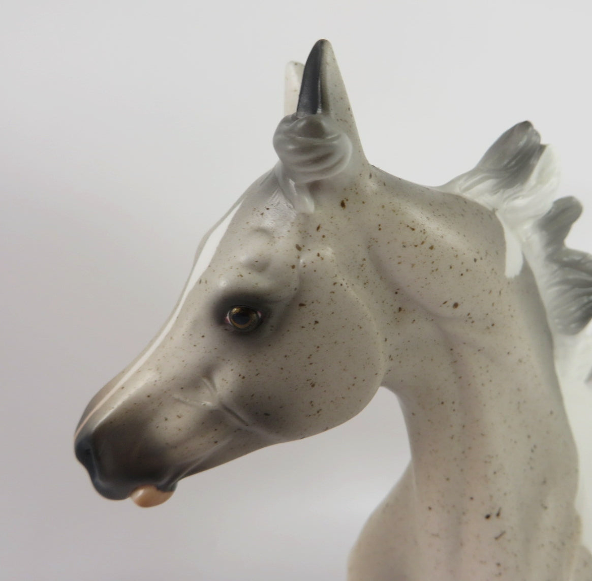 STAR-OOAK FLEA BIT GREY PINTO YEARLING MODEL HORSE BY AUDREY DIXON WHS19