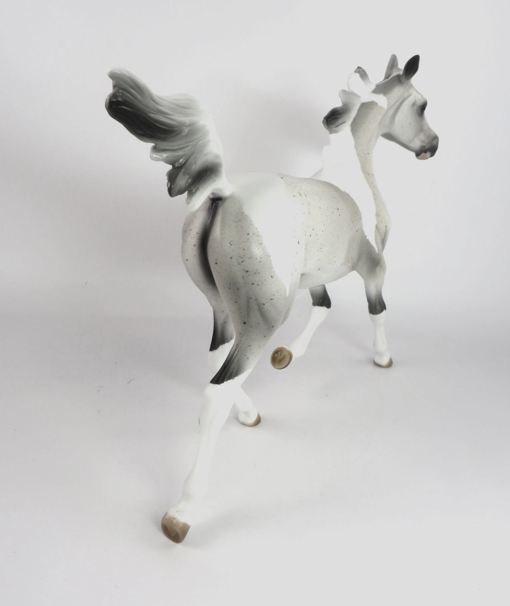 STAR-OOAK FLEA BIT GREY PINTO YEARLING MODEL HORSE BY AUDREY DIXON WHS19