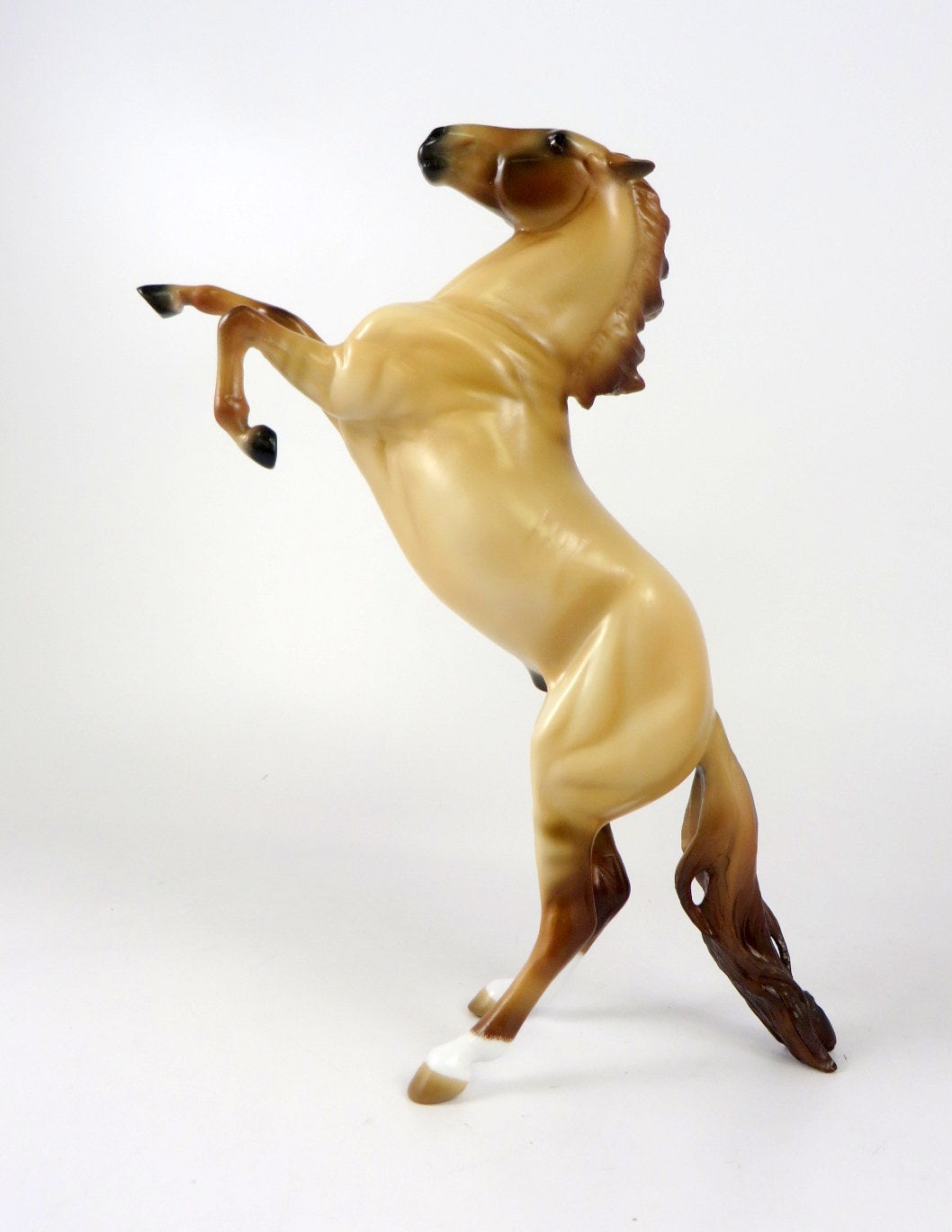 STAR GAZER - OOAK DUNN REARING PEBBLE BY  AUDREY DIXON WHS19