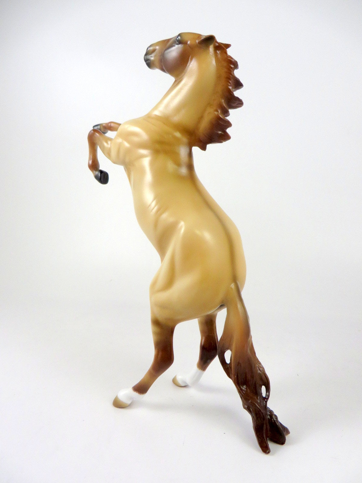 STAR GAZER - OOAK DUNN REARING PEBBLE BY  AUDREY DIXON WHS19