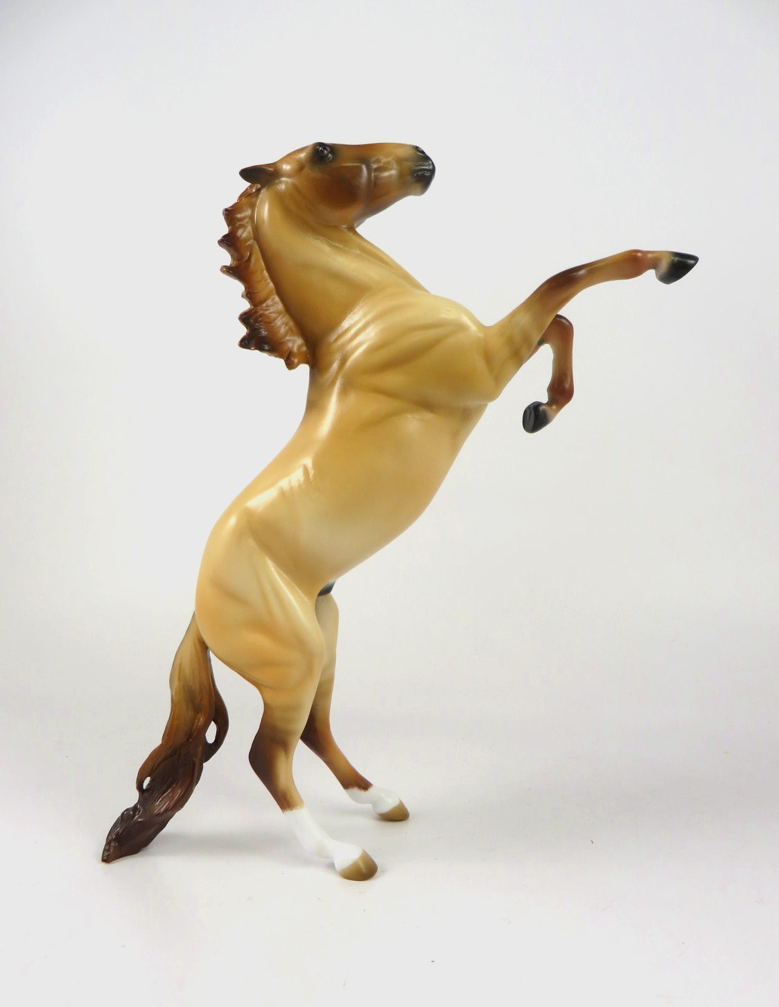 STAR GAZER - OOAK DUNN REARING PEBBLE BY  AUDREY DIXON WHS19