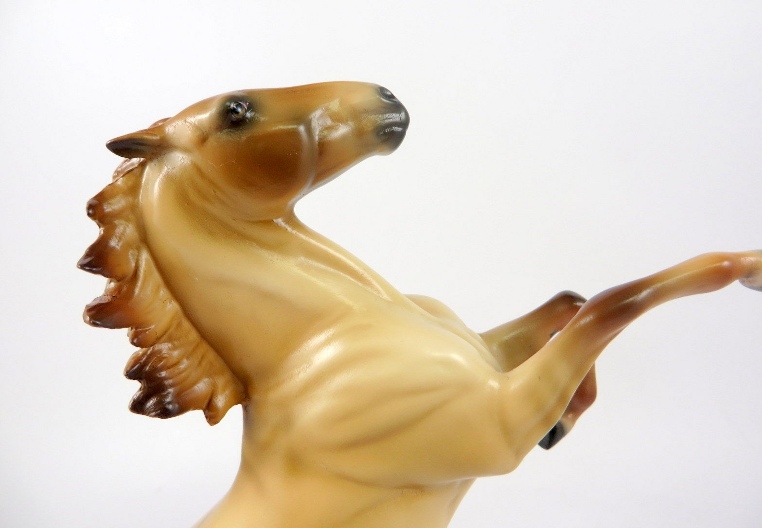 STAR GAZER - OOAK DUNN REARING PEBBLE BY  AUDREY DIXON WHS19