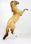 STAR GAZER - OOAK DUNN REARING PEBBLE BY  AUDREY DIXON WHS19
