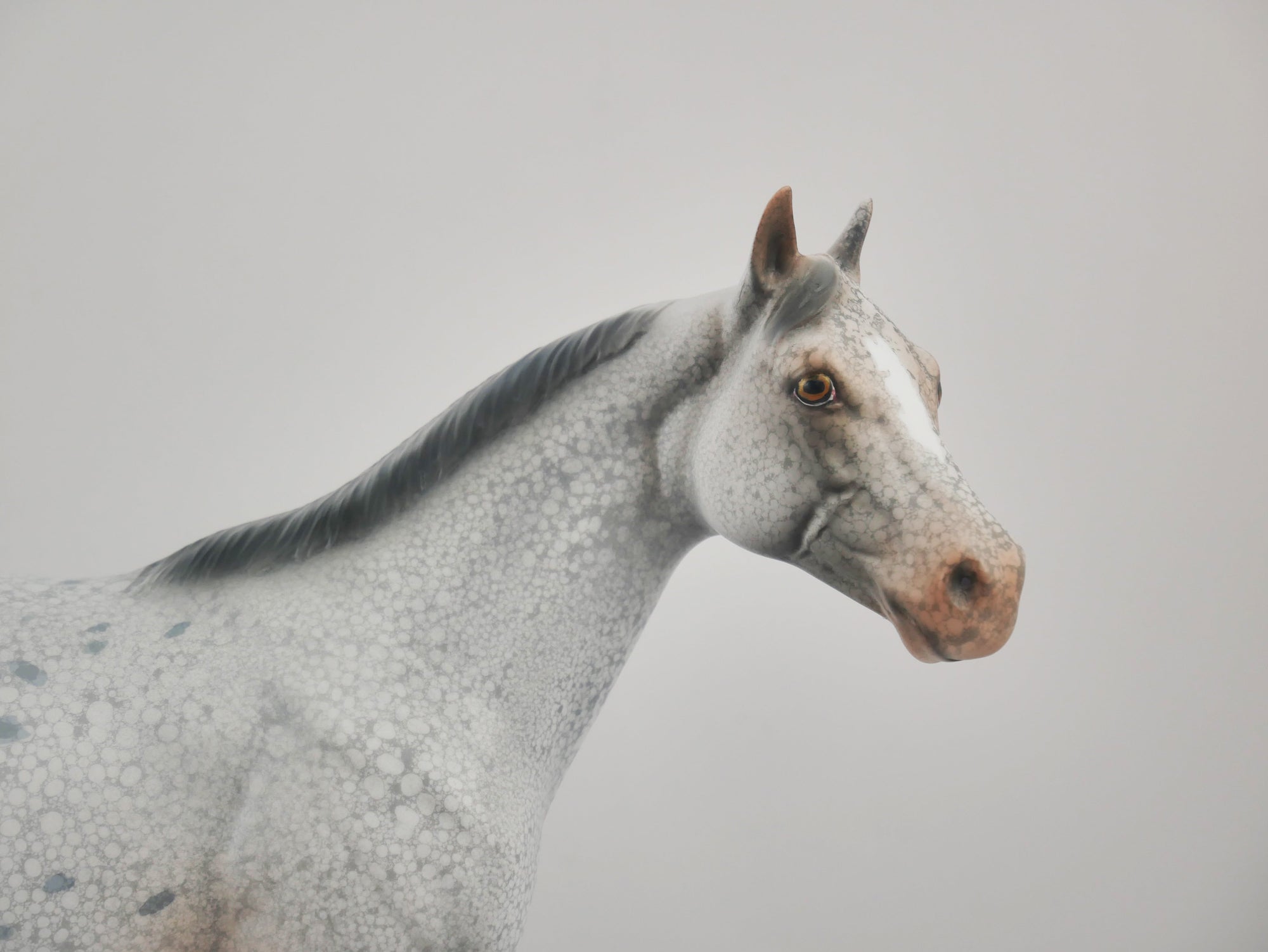 STONES THROW-OOAK APPALOOSA ISH BY DAWN QUICK