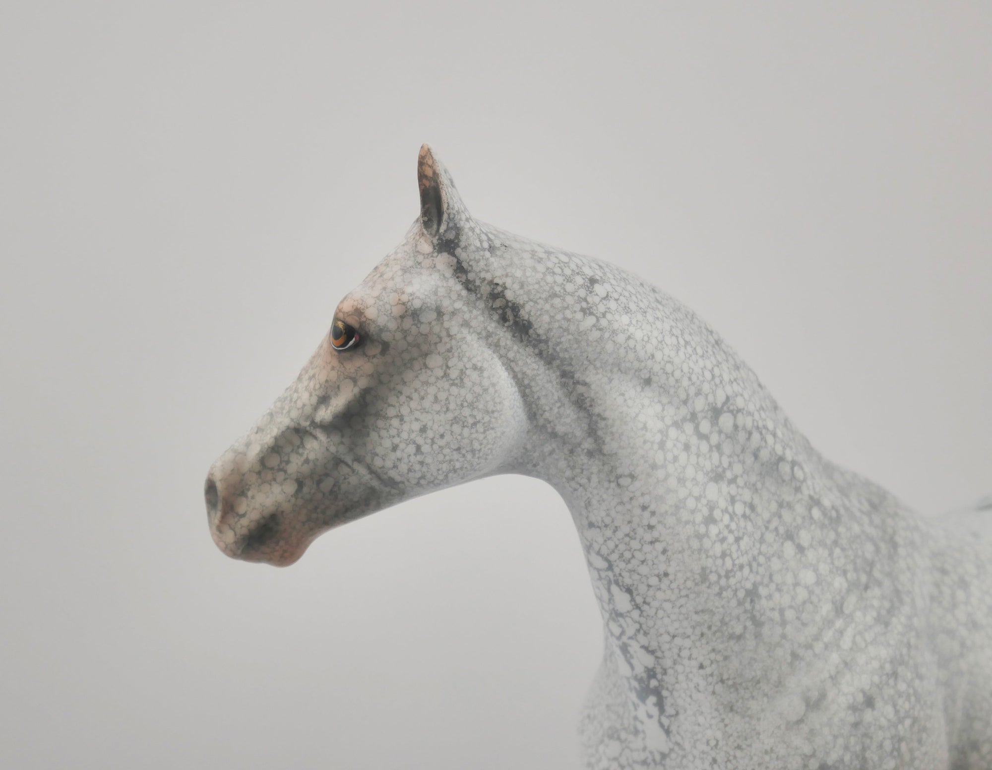STONES THROW-OOAK APPALOOSA ISH BY DAWN QUICK