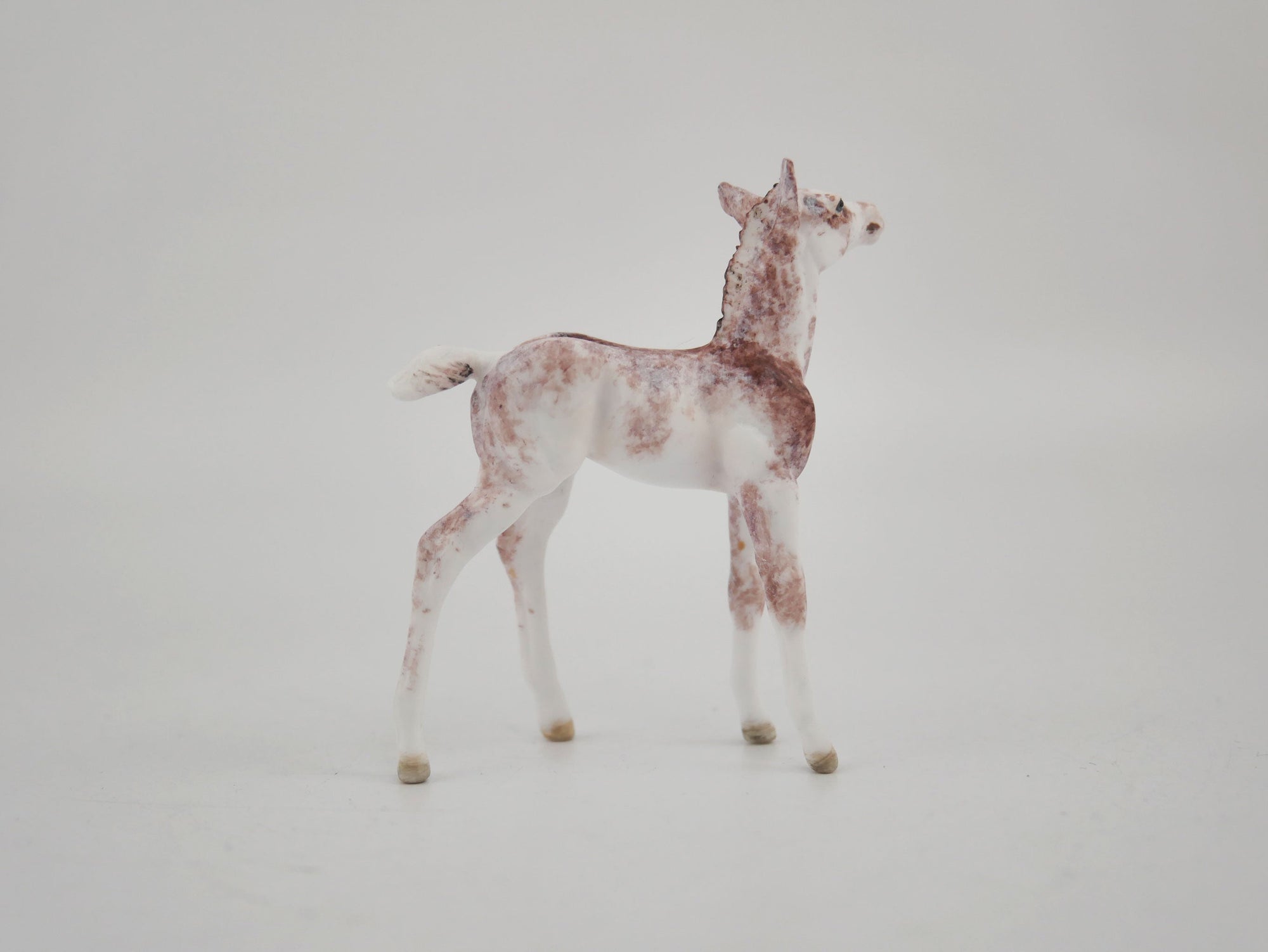 Strawberry-OOAK Foal Appaloosa Chip By Andrea MM 2020