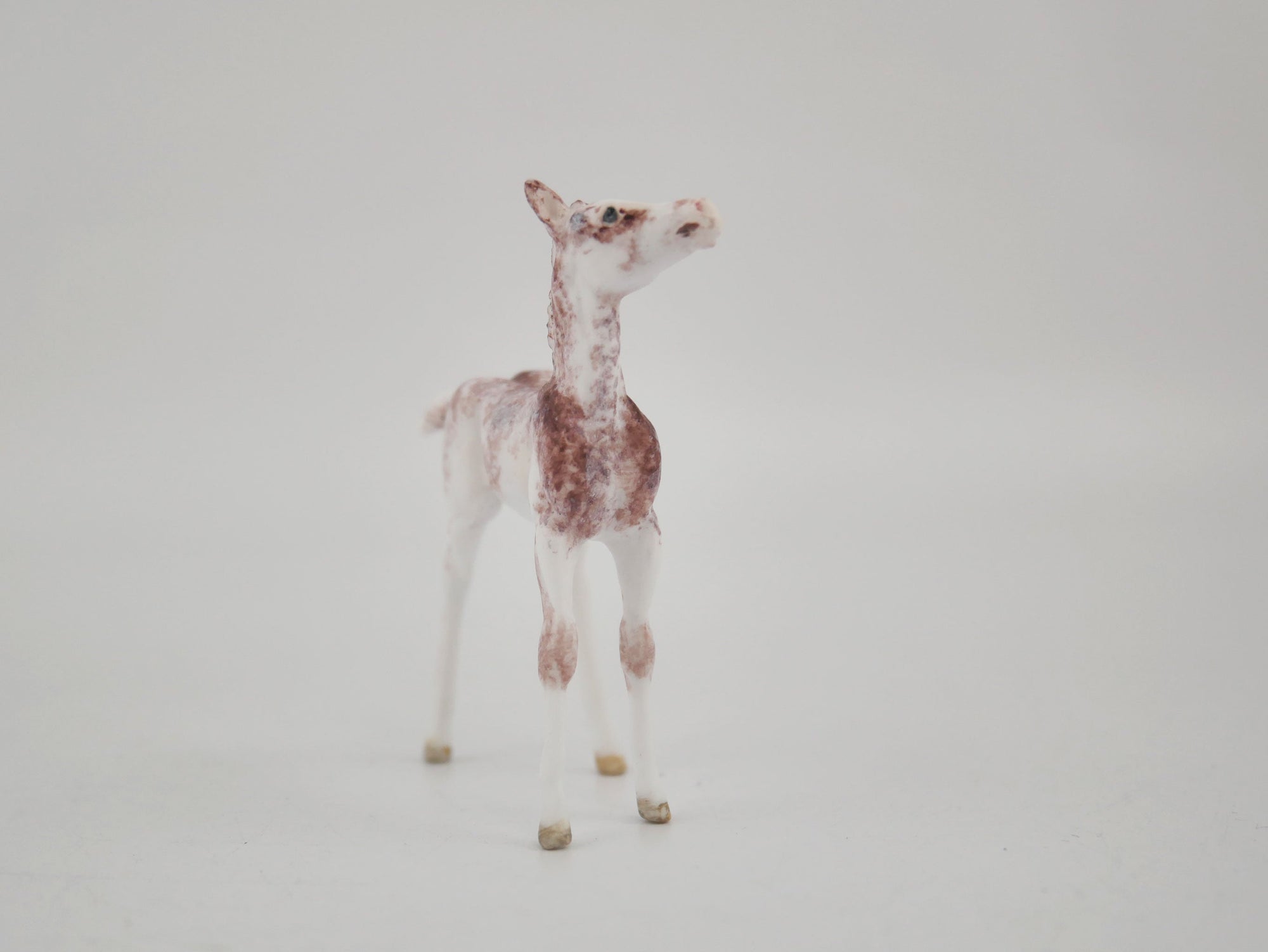 Strawberry-OOAK Foal Appaloosa Chip By Andrea MM 2020