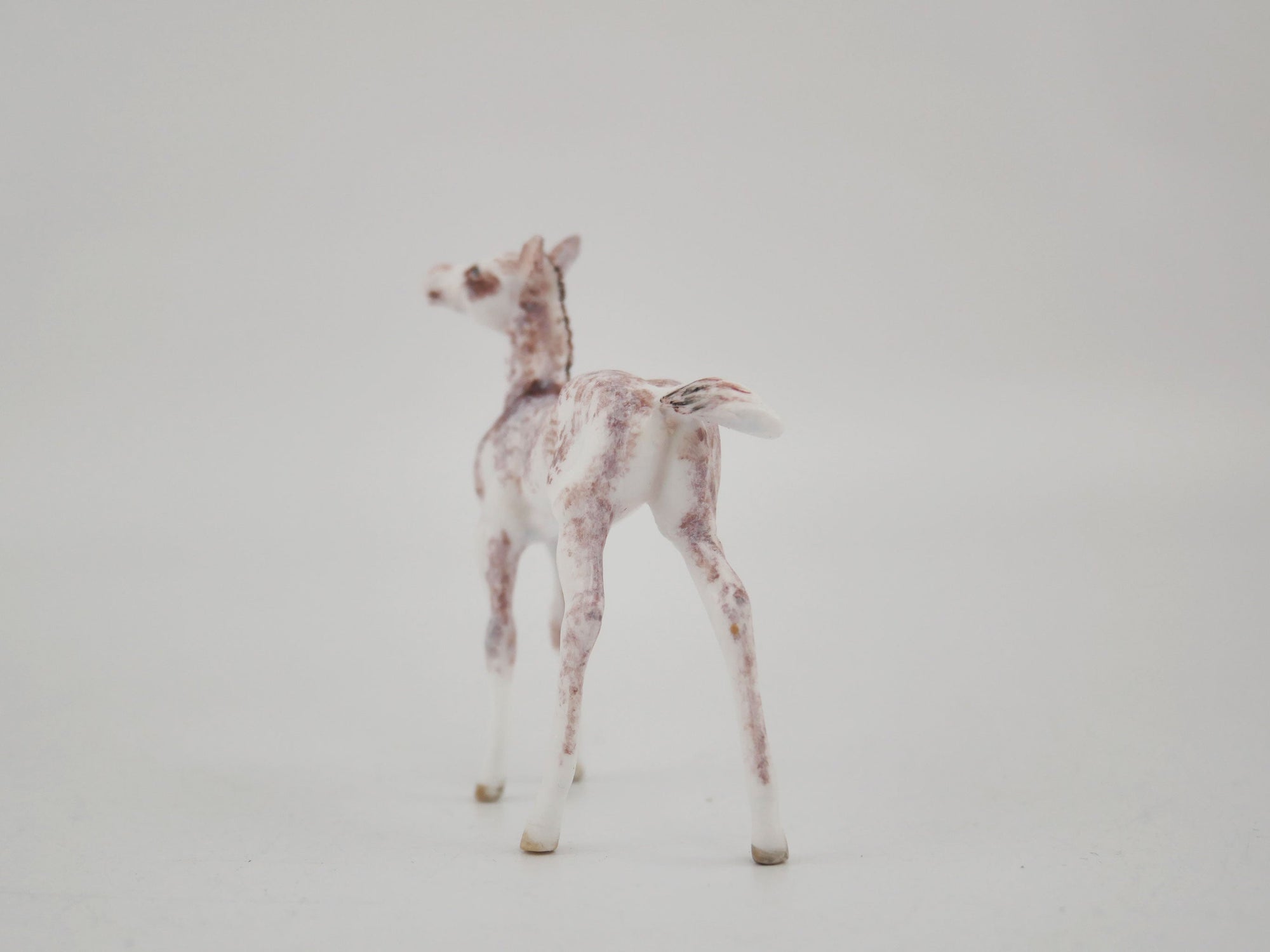 Strawberry-OOAK Foal Appaloosa Chip By Andrea MM 2020