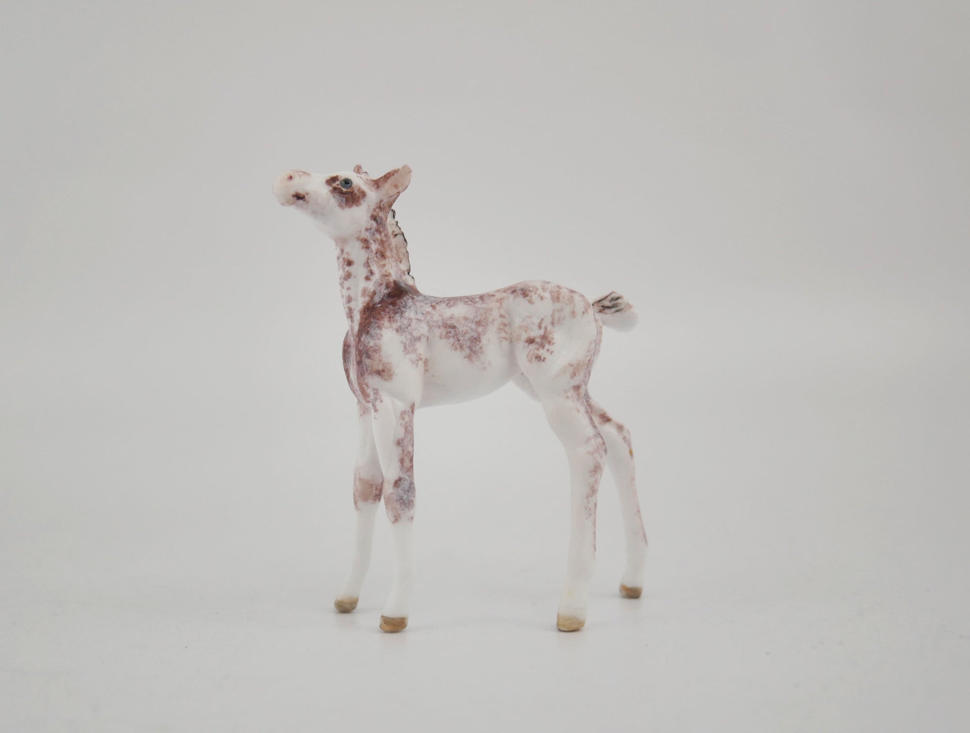 Strawberry-OOAK Foal Appaloosa Chip By Andrea MM 2020