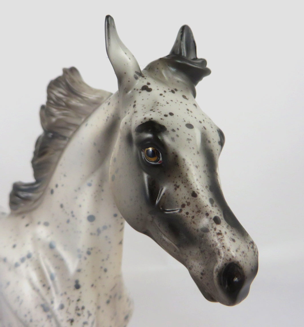 PEPPER -OOAK BLACK APPY SPOTTED YEARLING MODEL HORSE BY AL KATT WHS 19