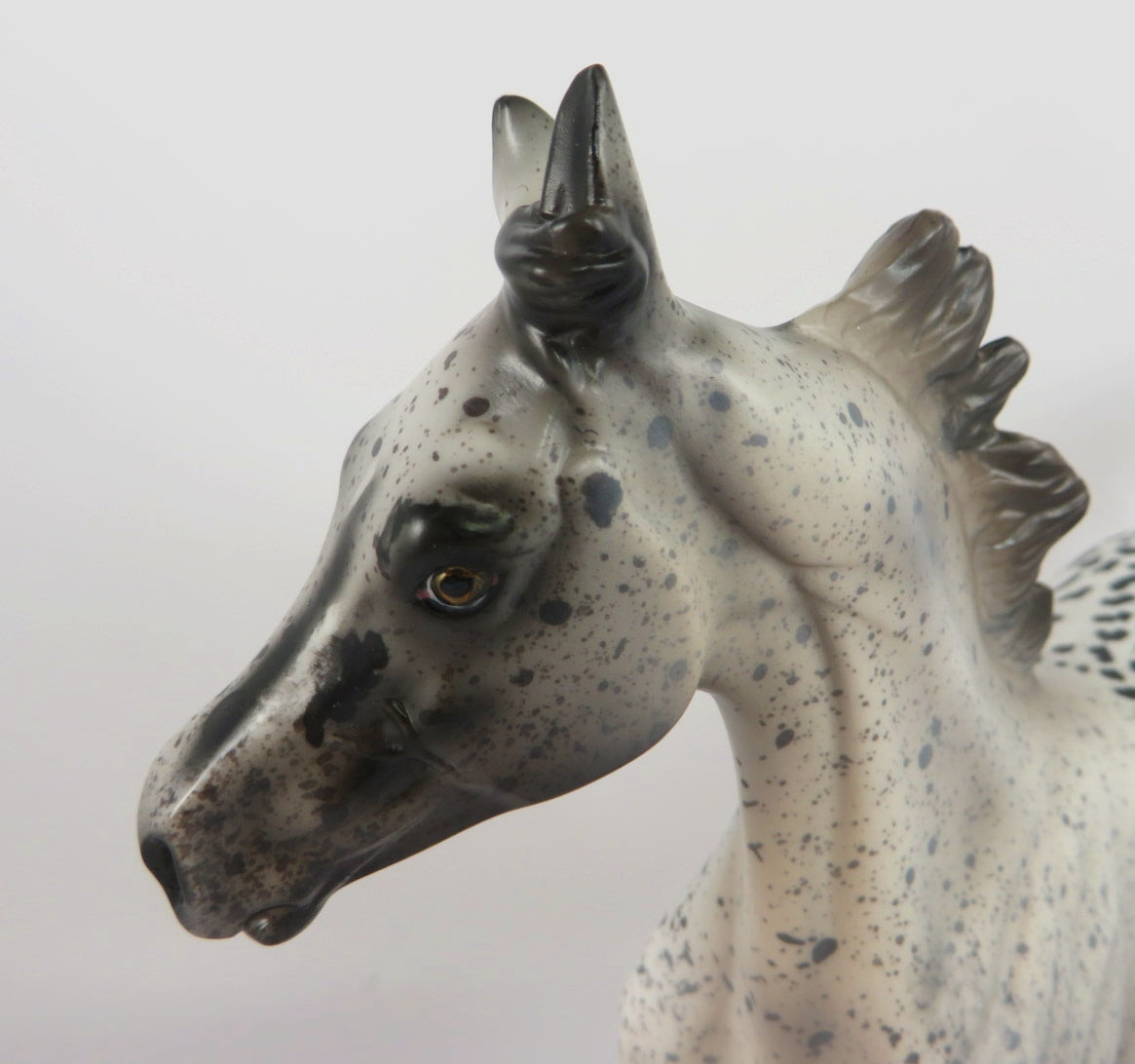 PEPPER -OOAK BLACK APPY SPOTTED YEARLING MODEL HORSE BY AL KATT WHS 19