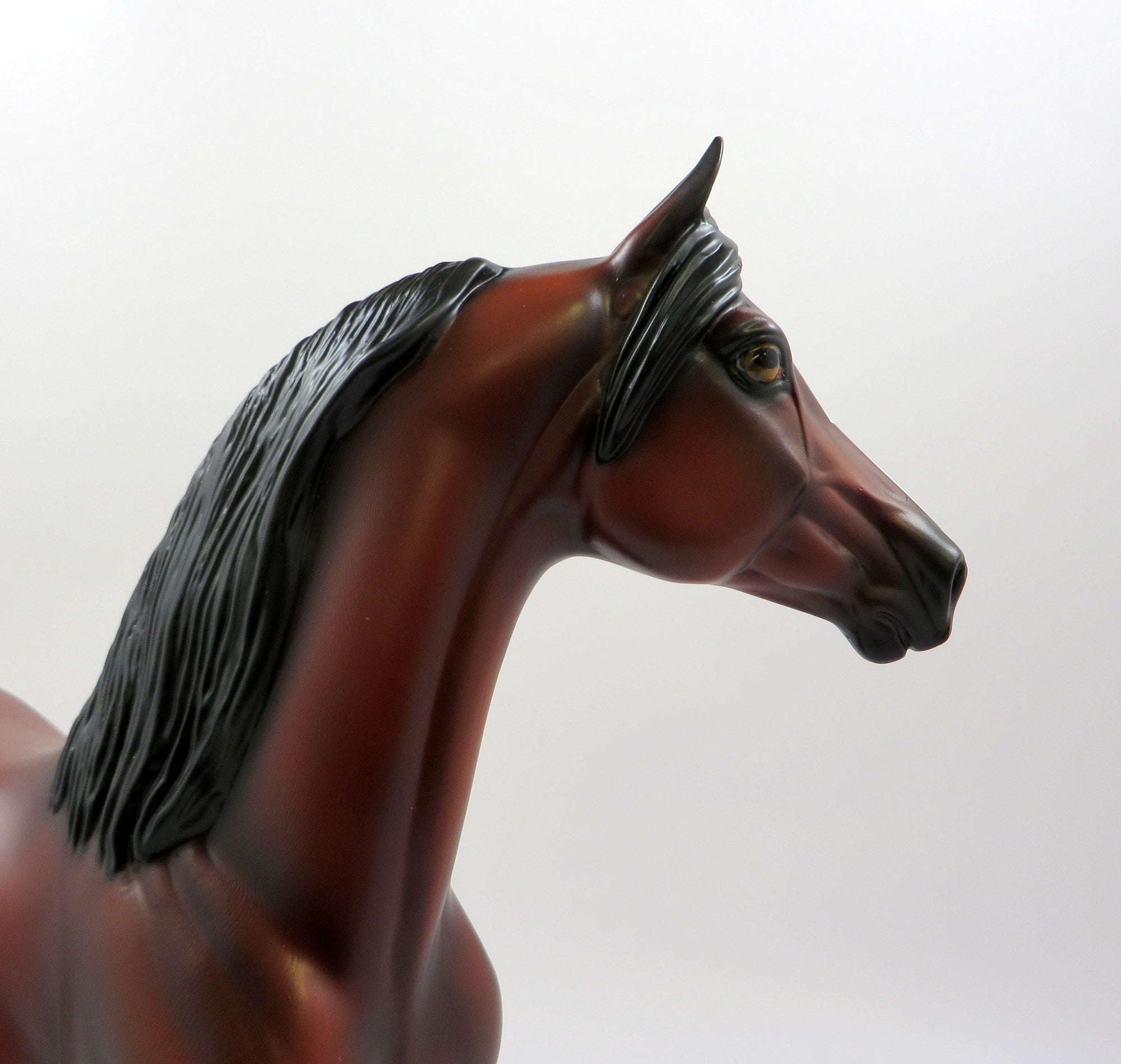 SULTAN-OOAK BAY MORGAN MODEL HORSE EQ 19