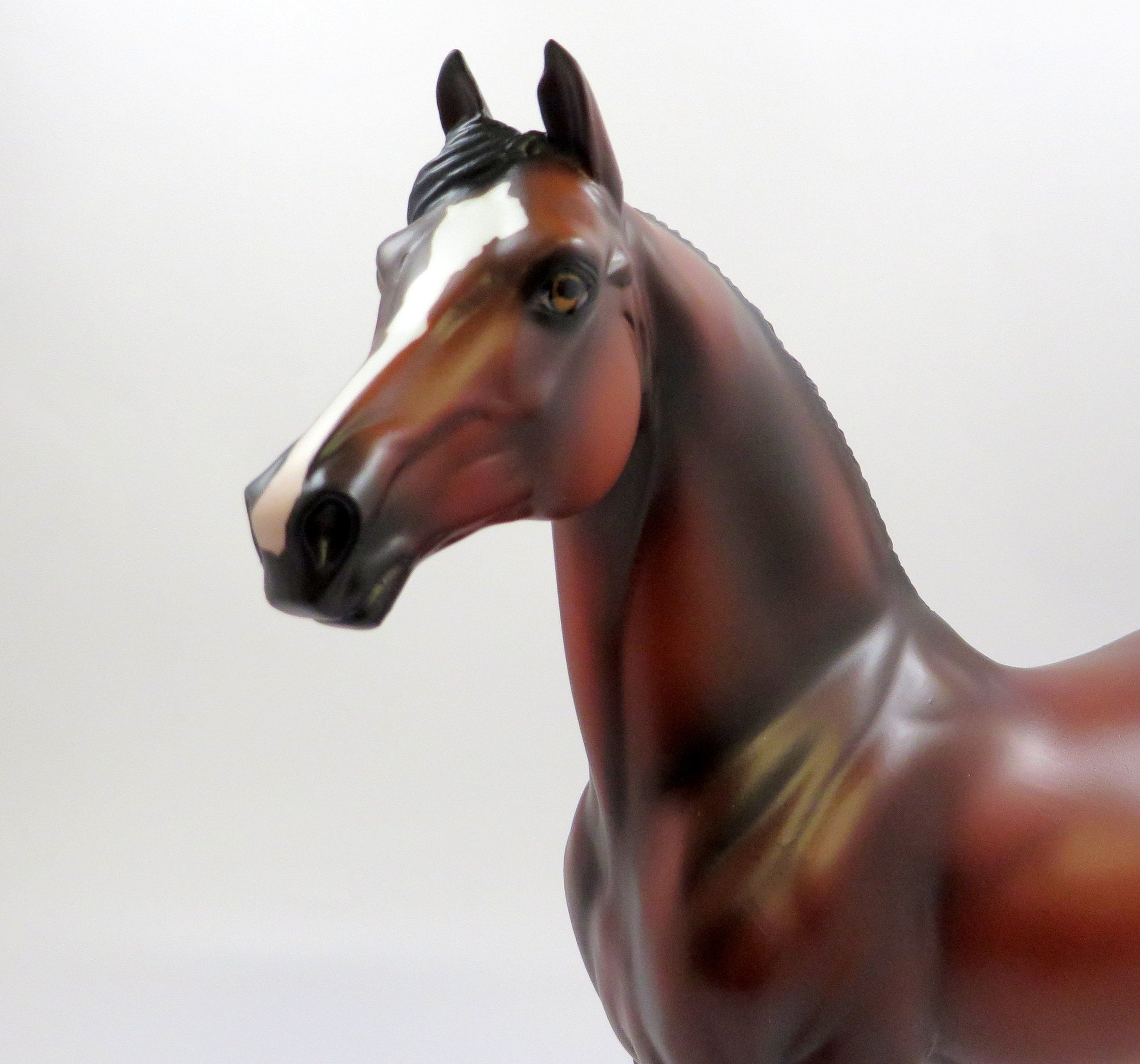 SULTAN-OOAK BAY MORGAN MODEL HORSE EQ 19