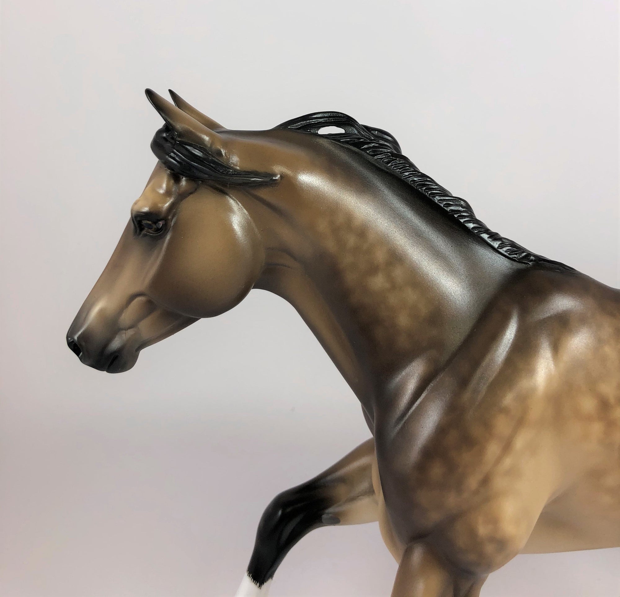 SULTANA-OOAK STAR DAPPLE BUCKSKIN RUNNING QUARTER HORSE BY SHERYL L. LHS 19