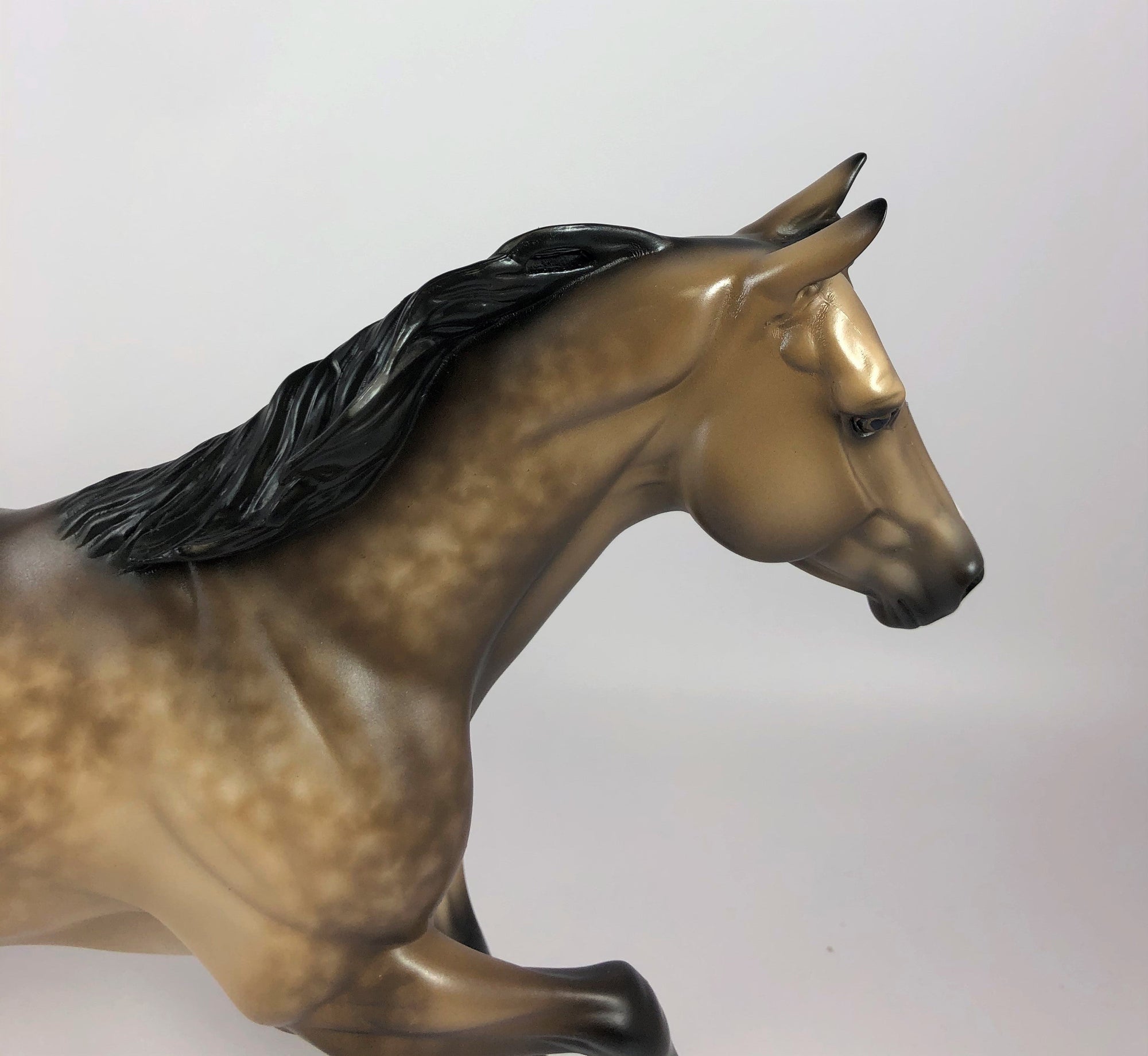 SULTANA-OOAK STAR DAPPLE BUCKSKIN RUNNING QUARTER HORSE BY SHERYL L. LHS 19