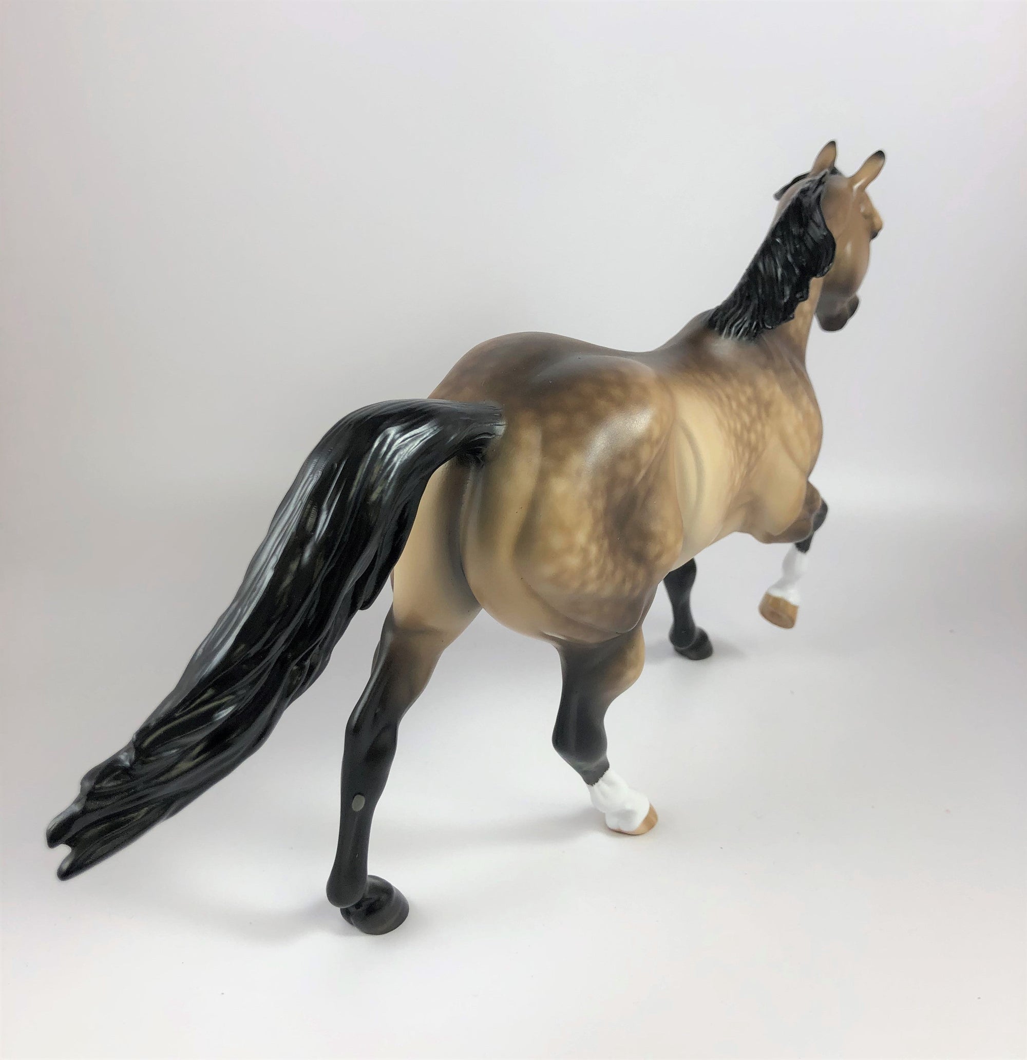 SULTANA-OOAK STAR DAPPLE BUCKSKIN RUNNING QUARTER HORSE BY SHERYL L. LHS 19