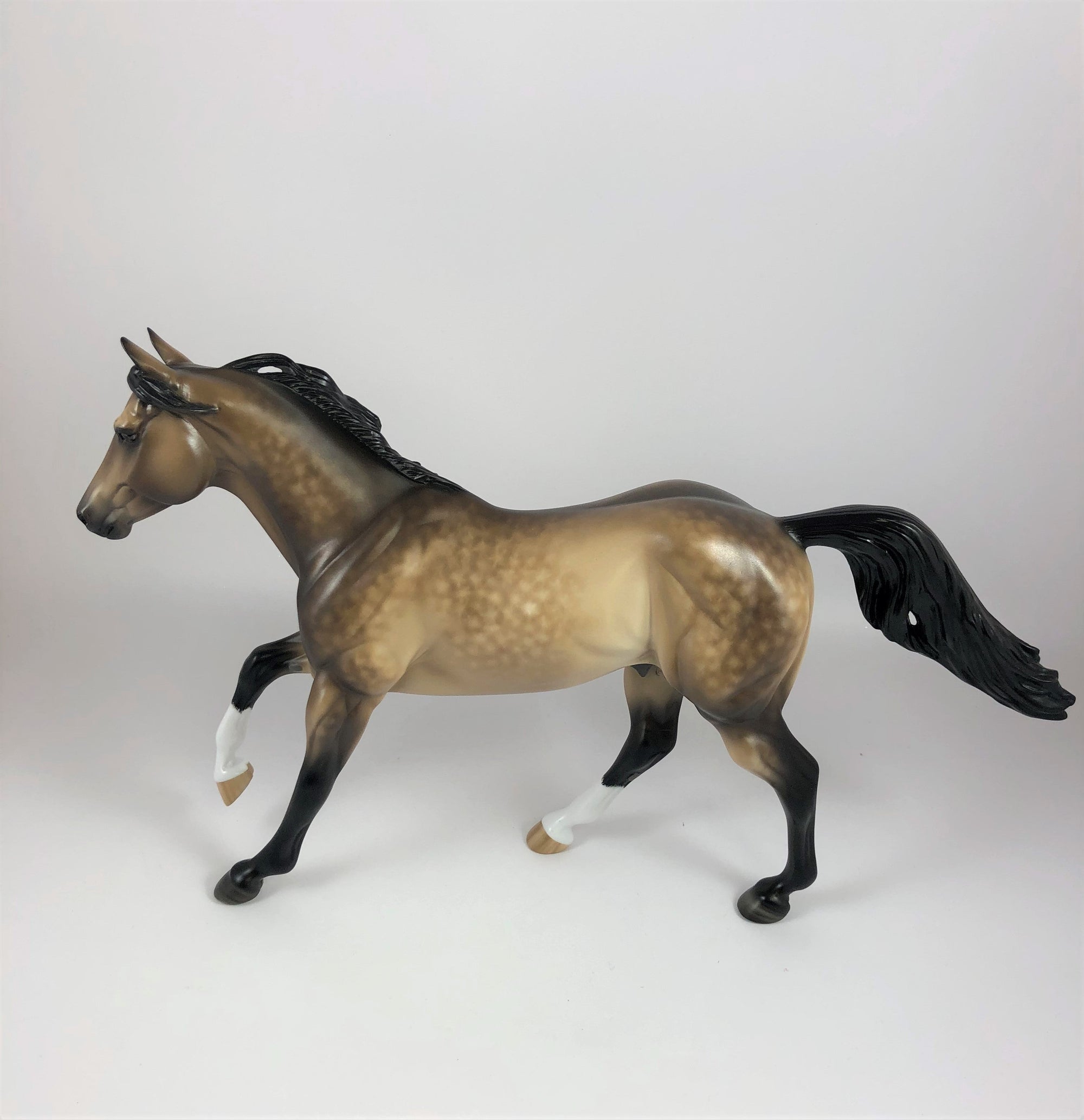 SULTANA-OOAK STAR DAPPLE BUCKSKIN RUNNING QUARTER HORSE BY SHERYL L. LHS 19